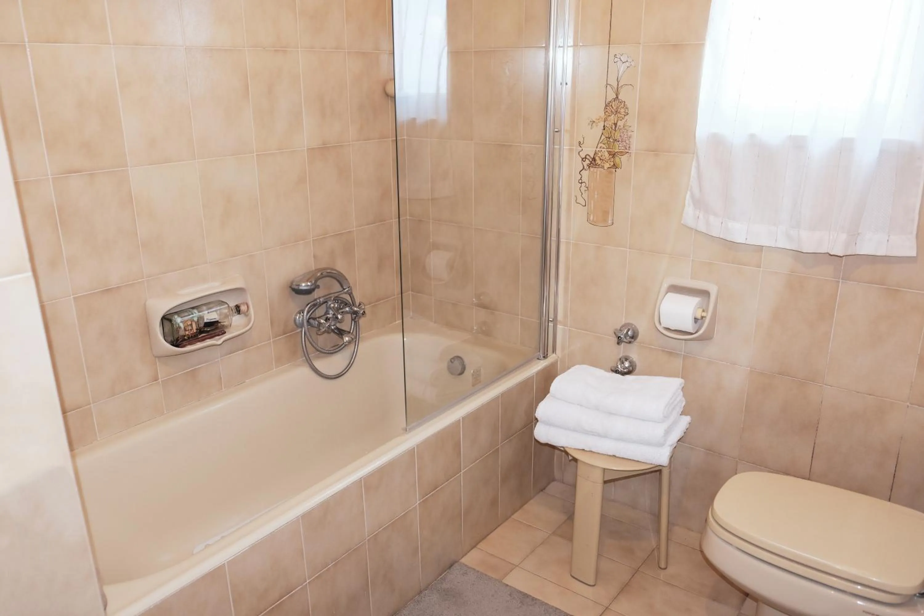 Toilet in Sorrento Hills