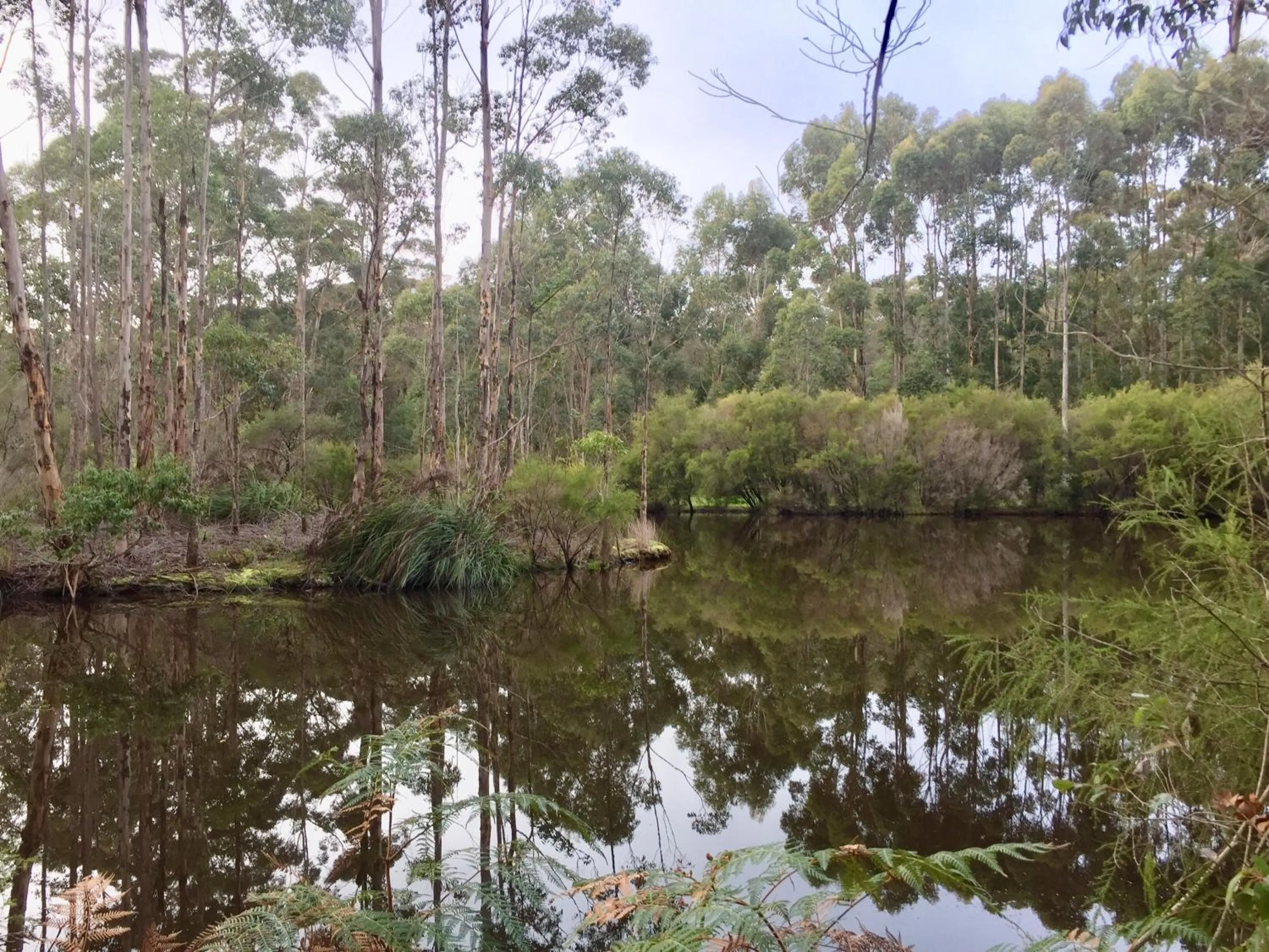 Natural landscape in Tanah Marah