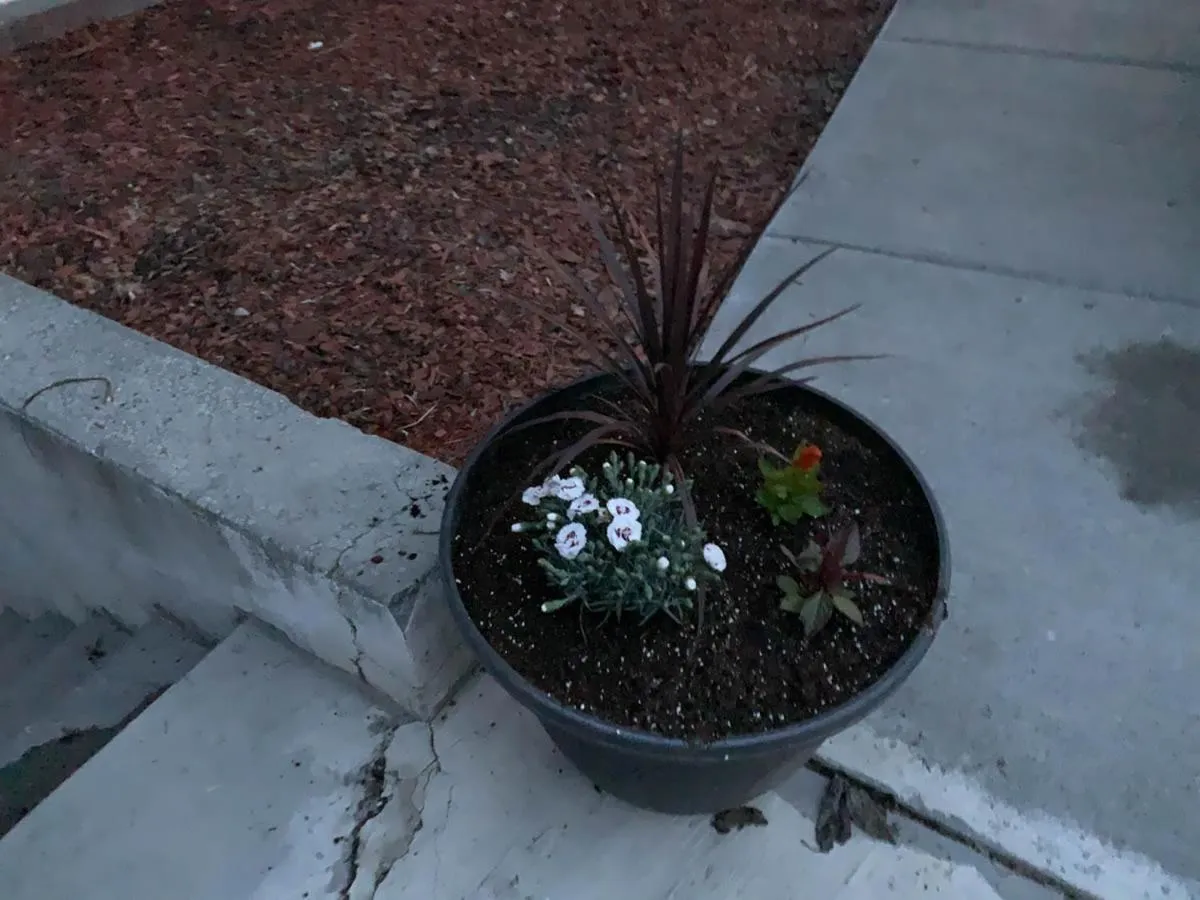 The Wing at Kingston East