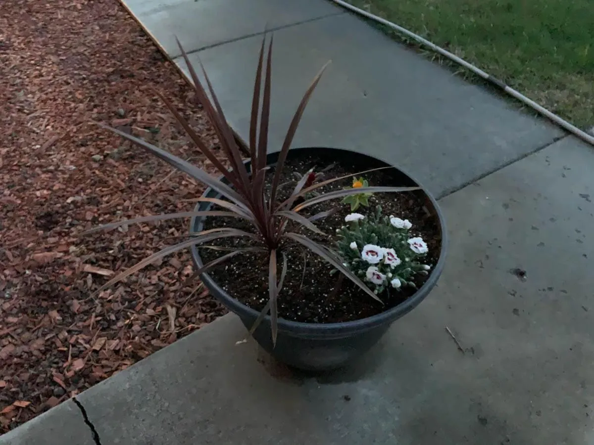 The Wing at Kingston East