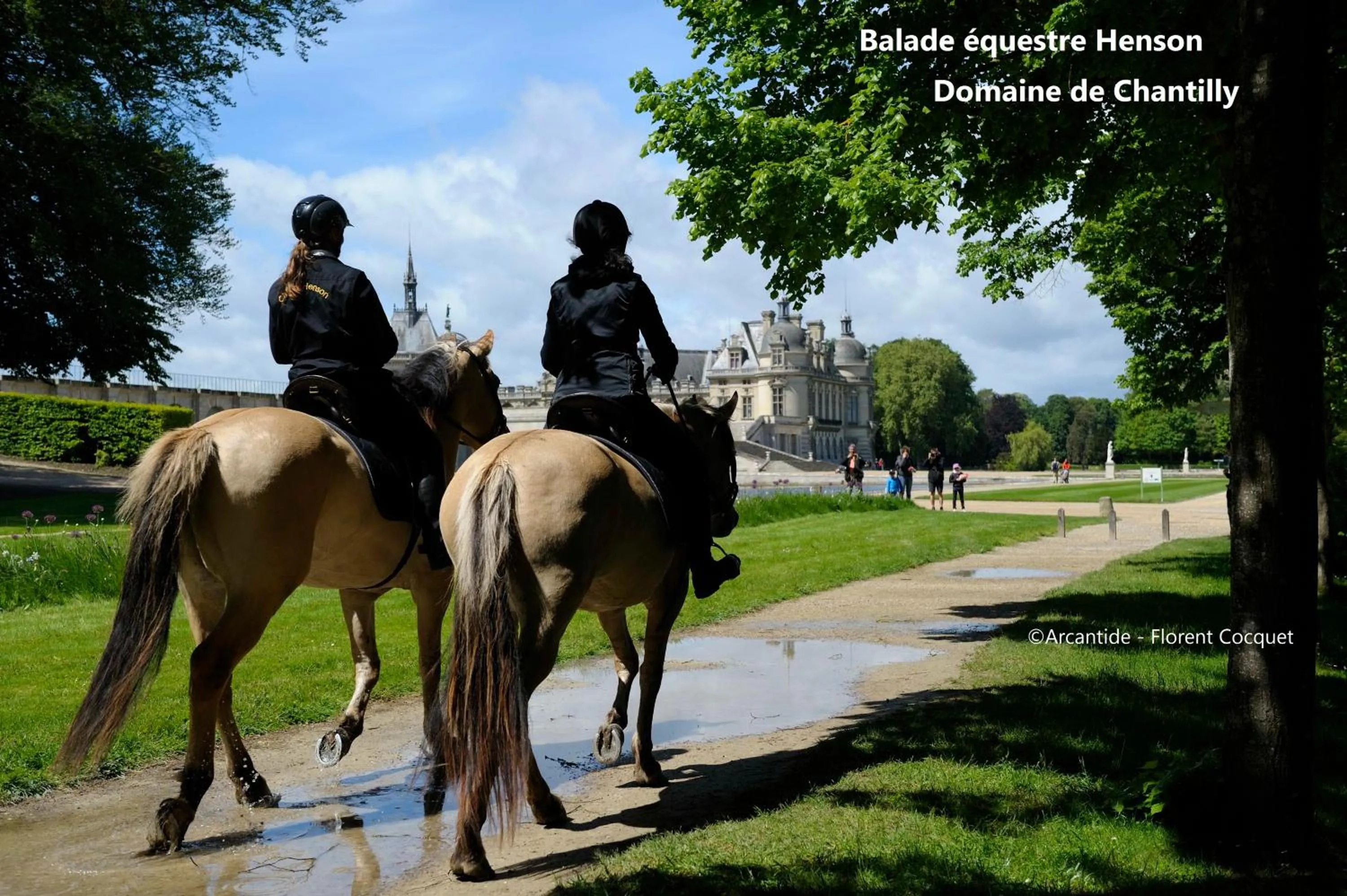 Activities in Château Jeanne & The Forest - Château de Montvillargenne
