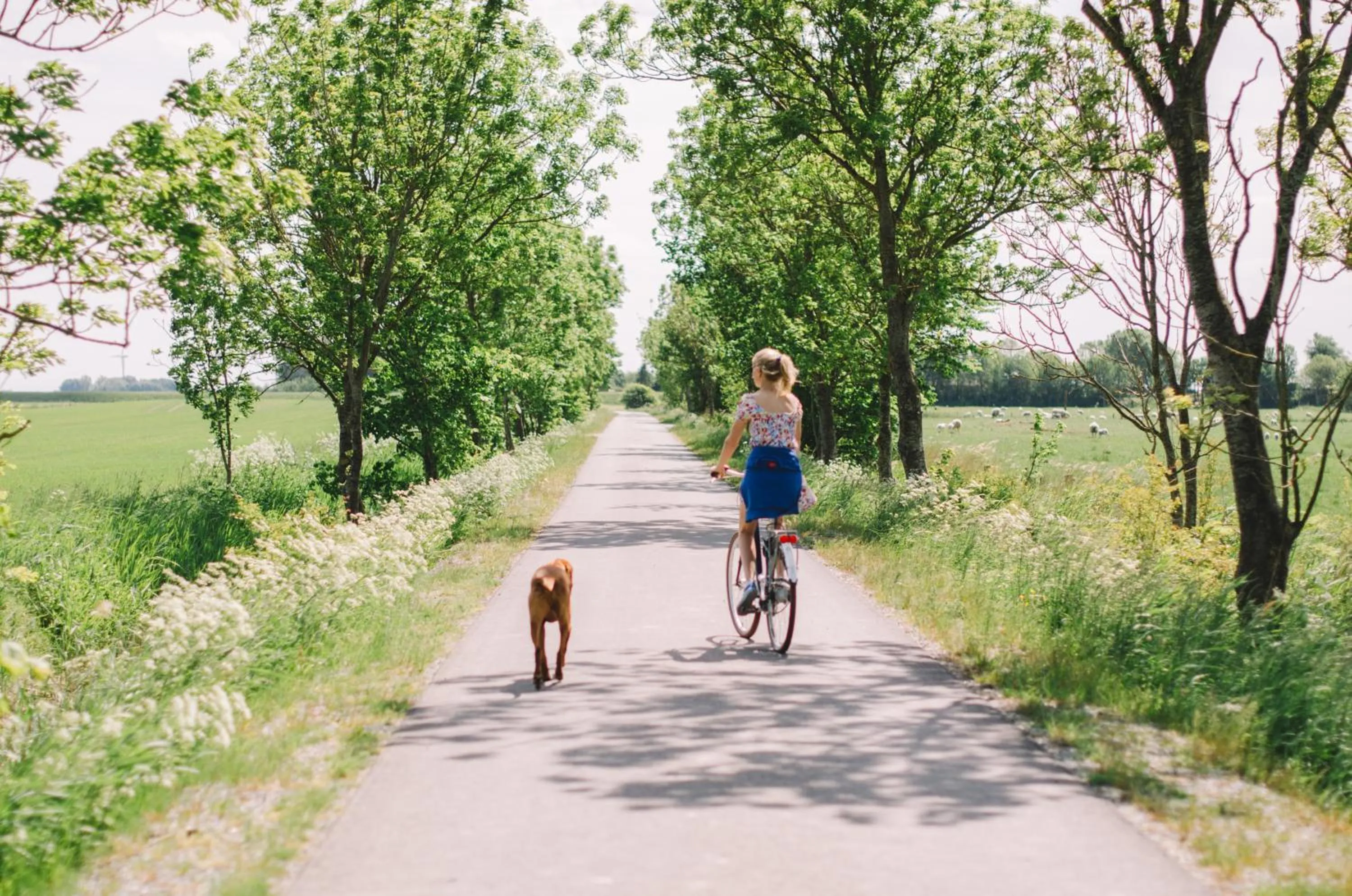 Spring in Hotel Landhafen