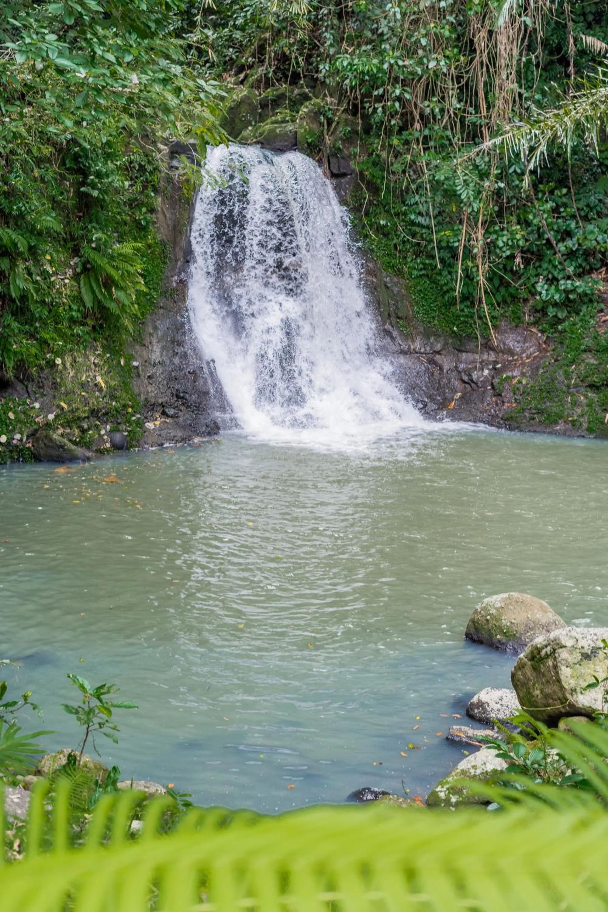 River view in Galalima Glamping by AGATA
