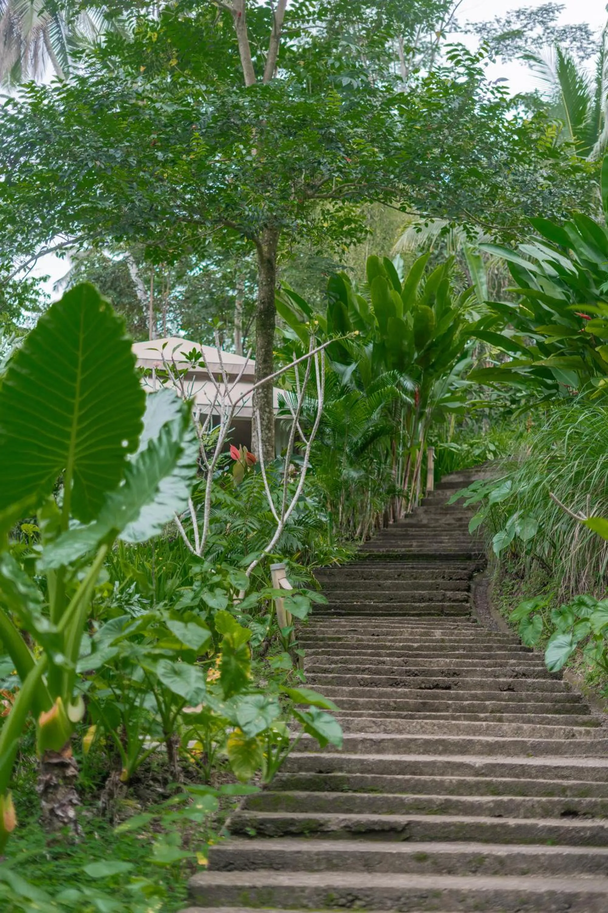 Property building in Galalima Glamping by AGATA