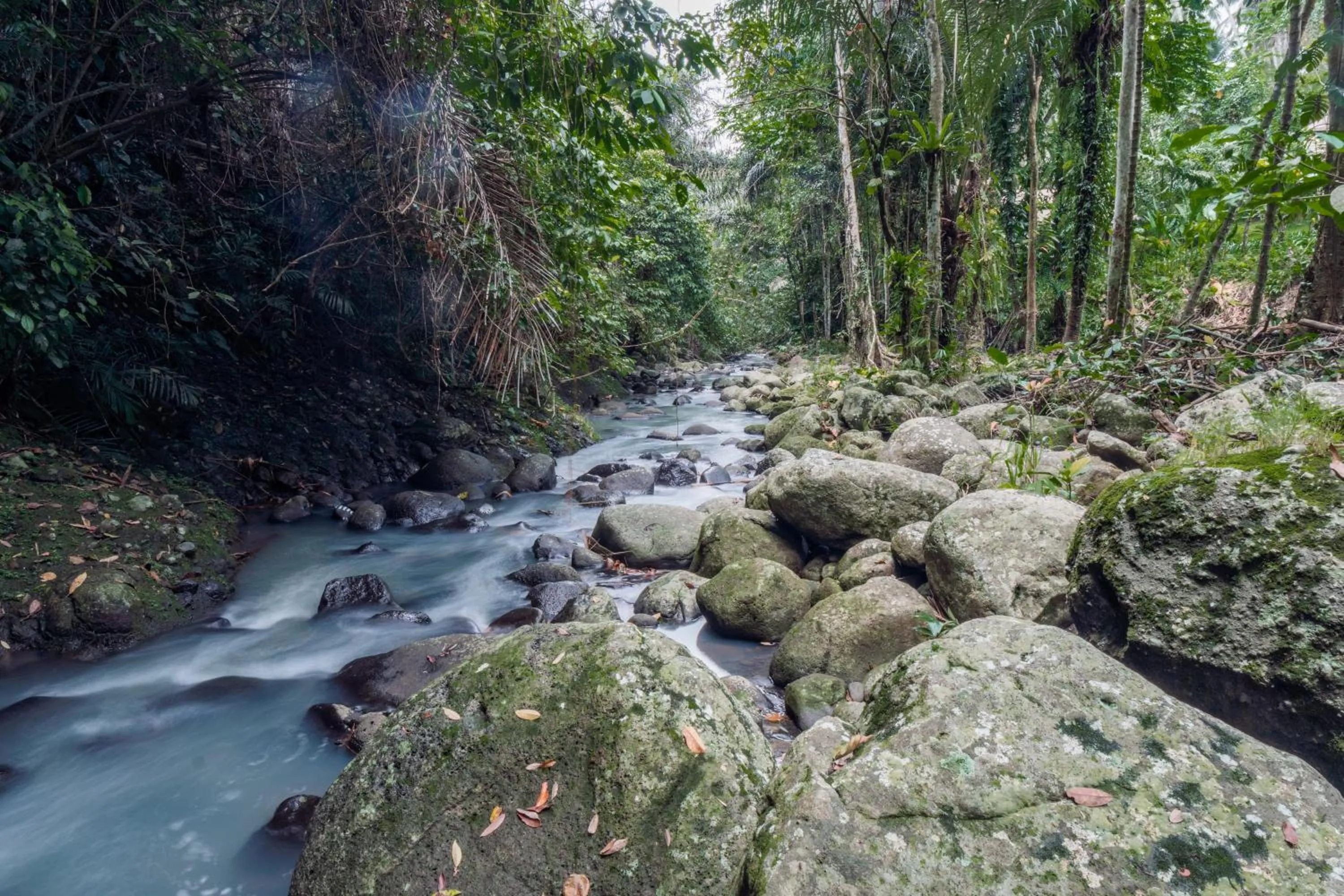 River view in Galalima Glamping by AGATA