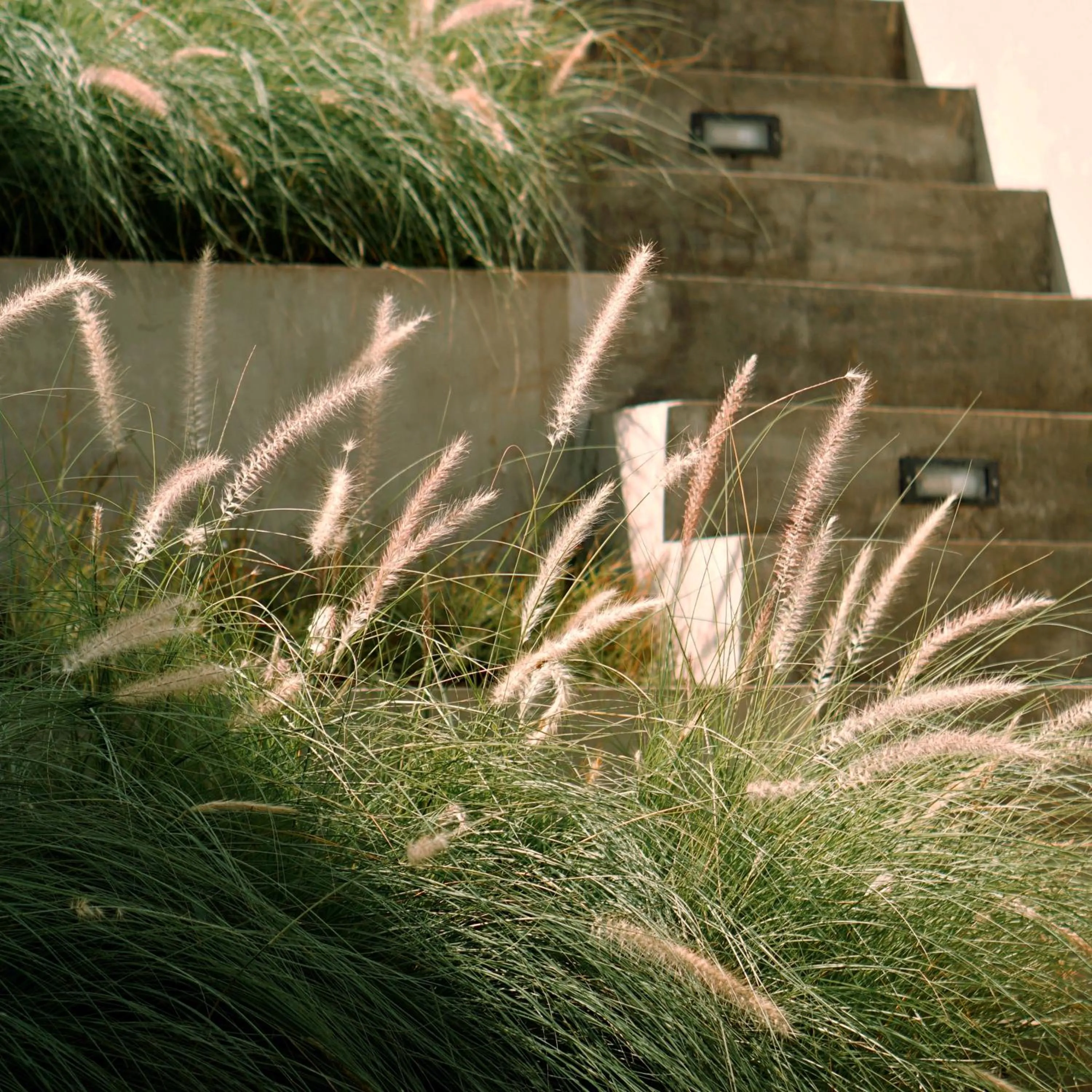 Natural landscape in Rimbun Canggu Hotel