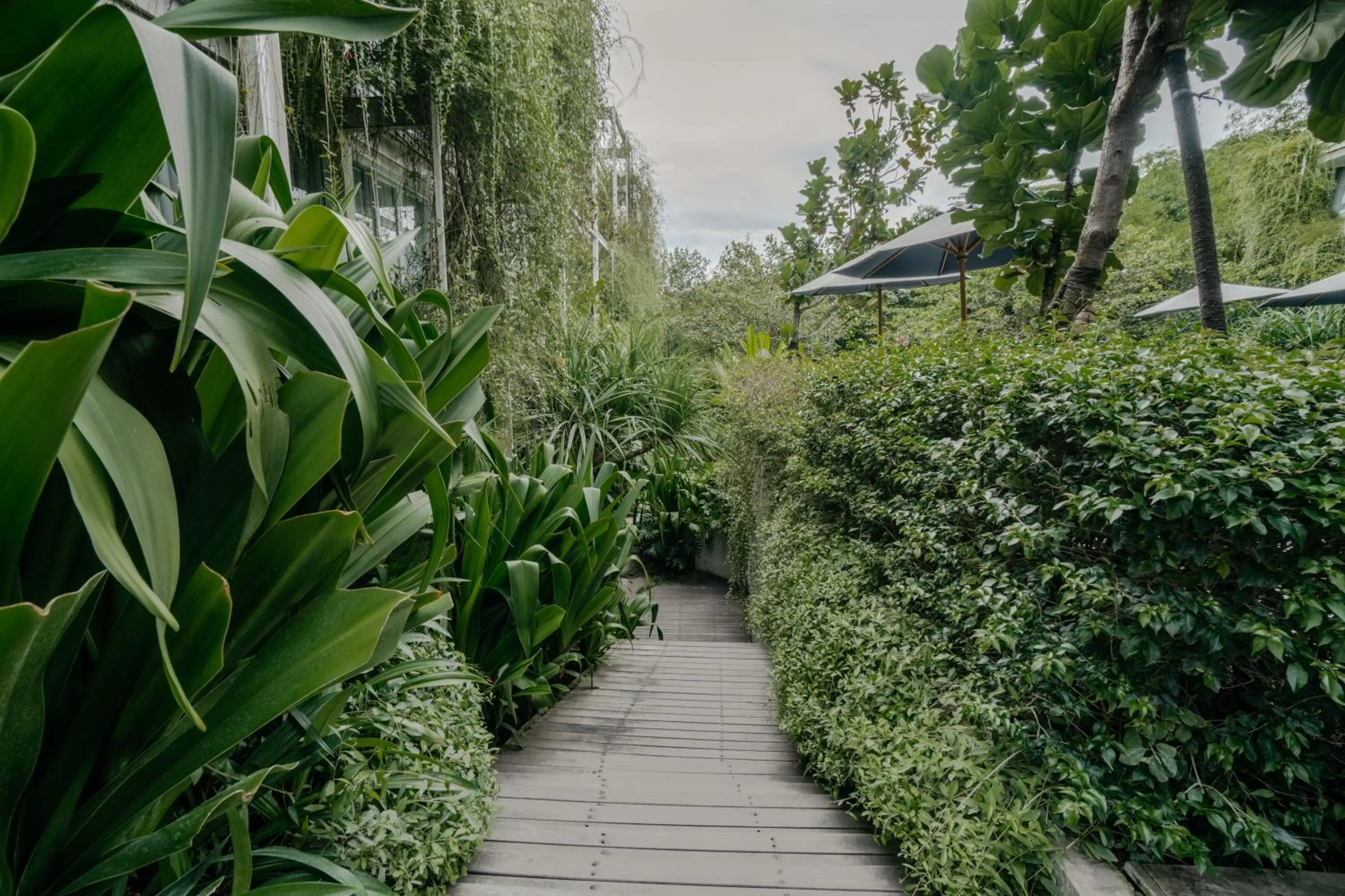 Garden view in Rimbun Canggu Hotel