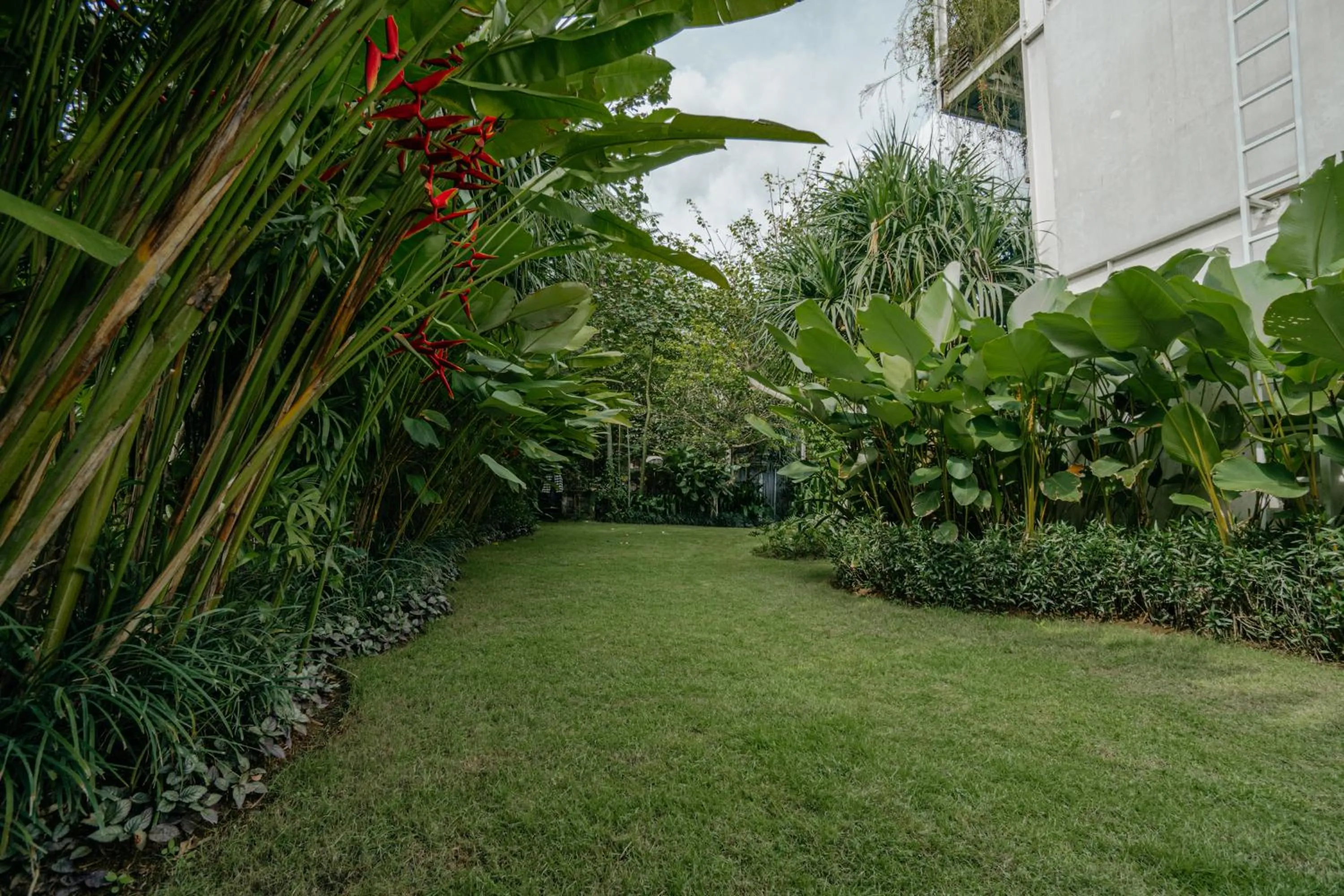 Garden in Rimbun Canggu Hotel