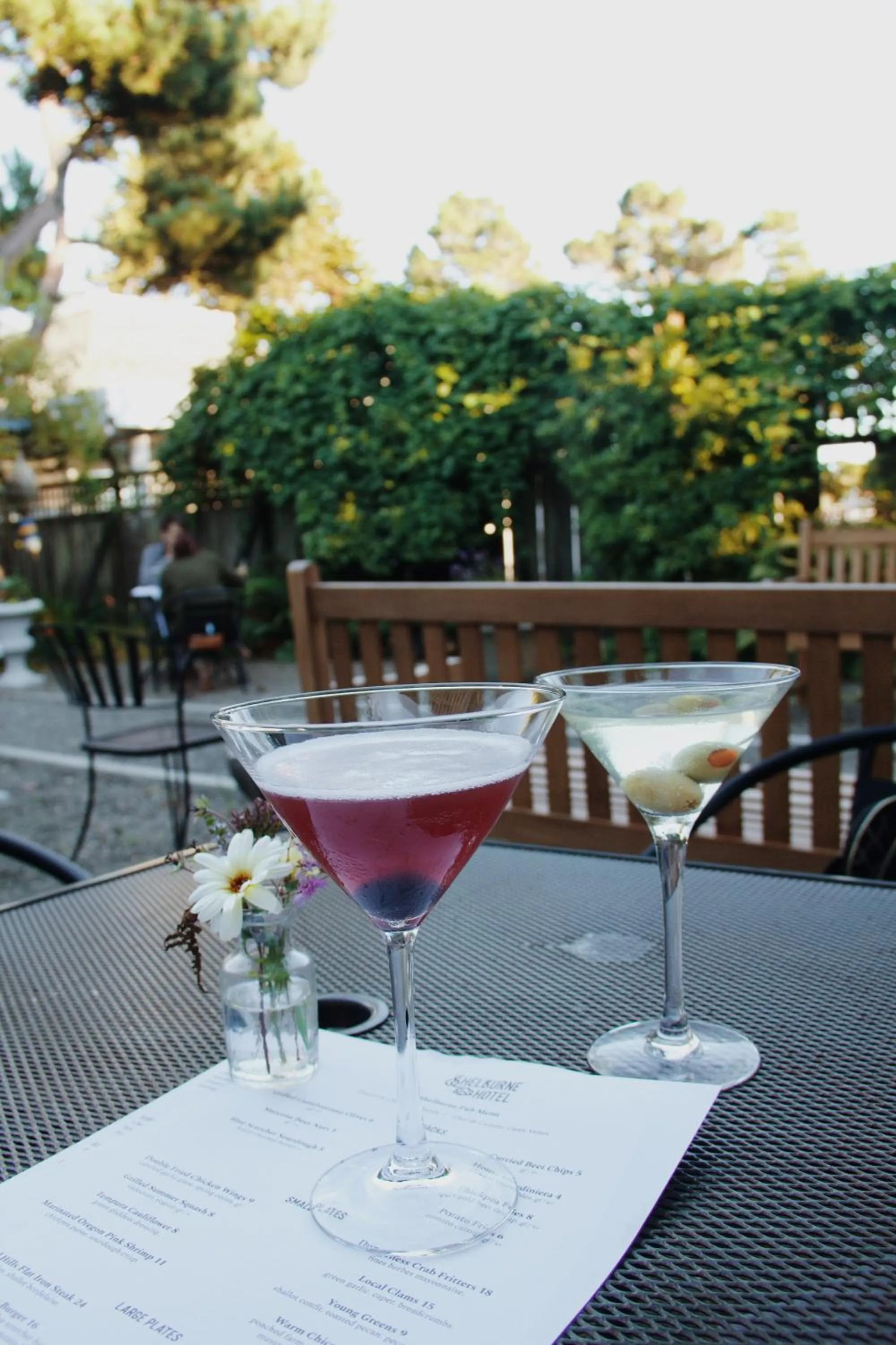 Alcoholic drinks in Shelburne Hotel