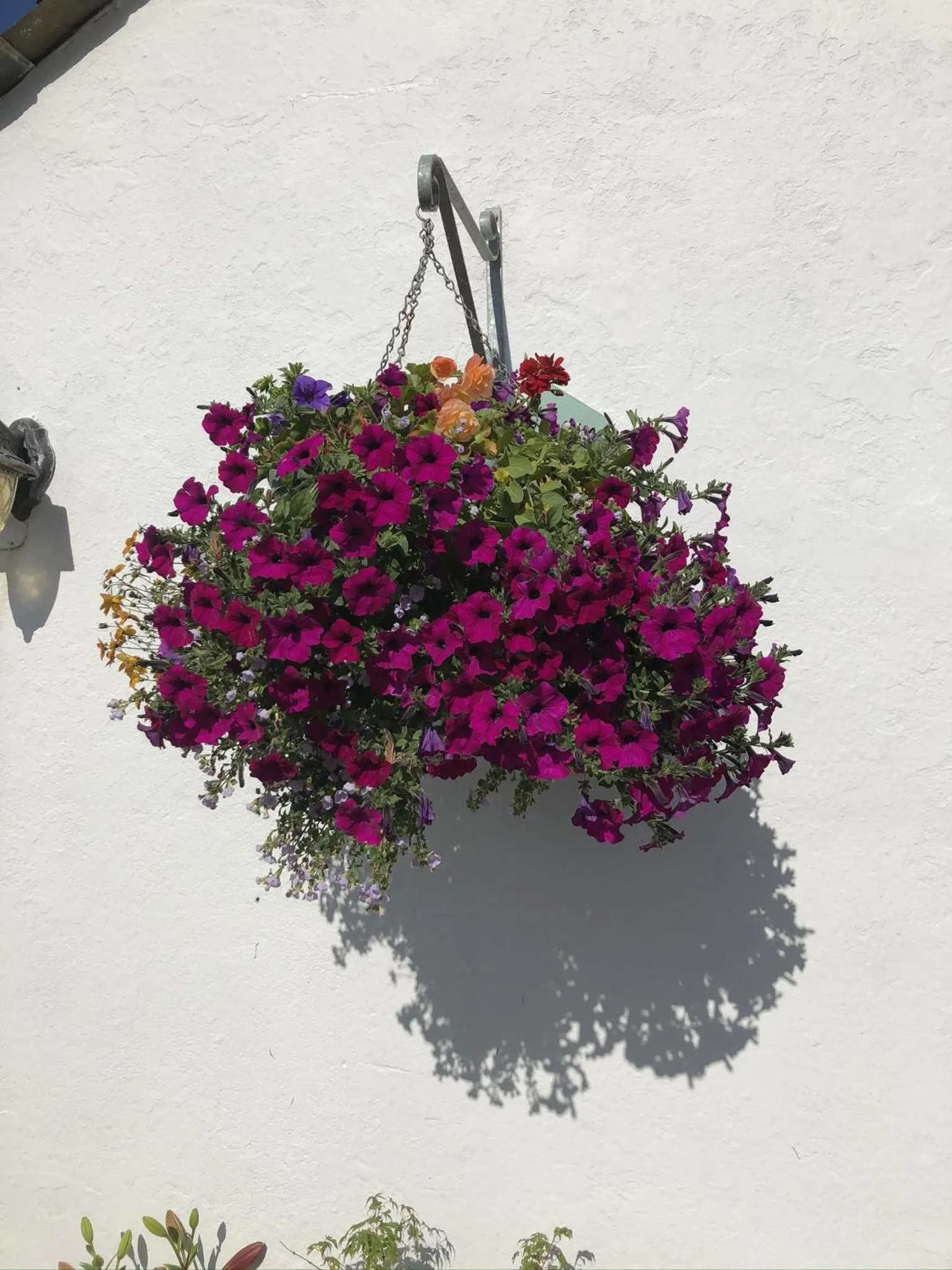 Property building in Blue Lion Inn