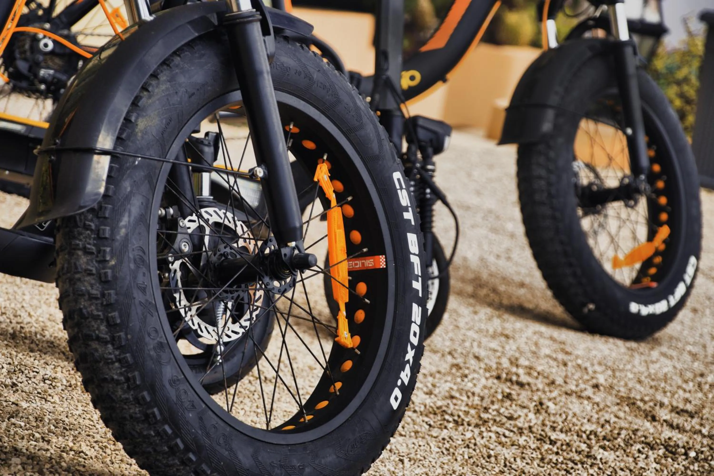 Activities in Best Western Premier Hotel Prince de Galles