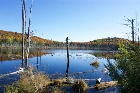 Natural landscape in Hôtel Far Hills
