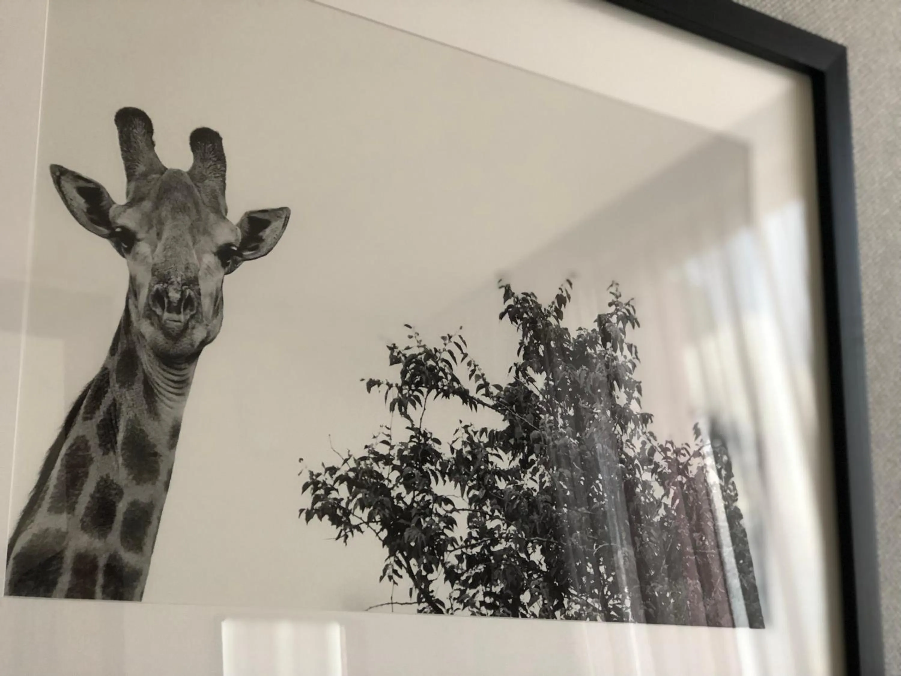 Decorative detail in Mythos Boutique Hotel