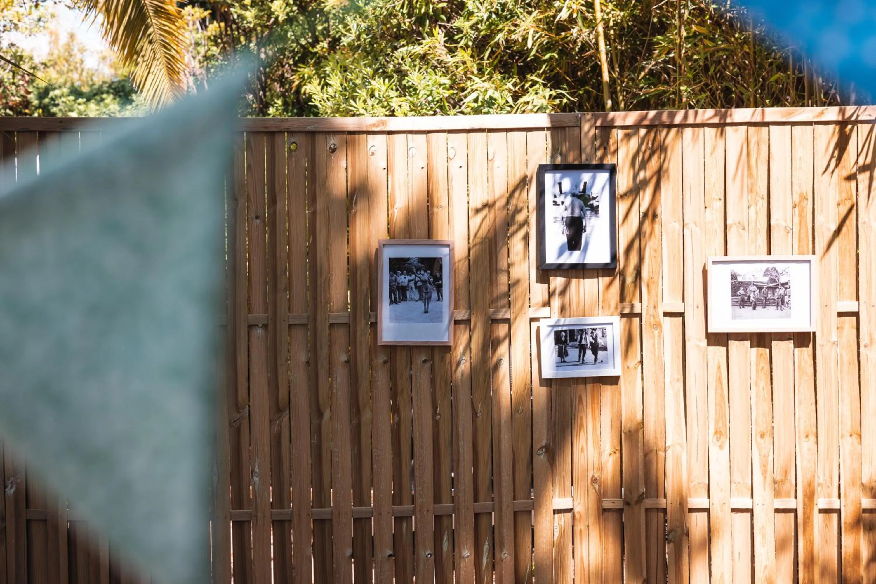 Garden in Hôtel La Villa Cap d’Antibes
