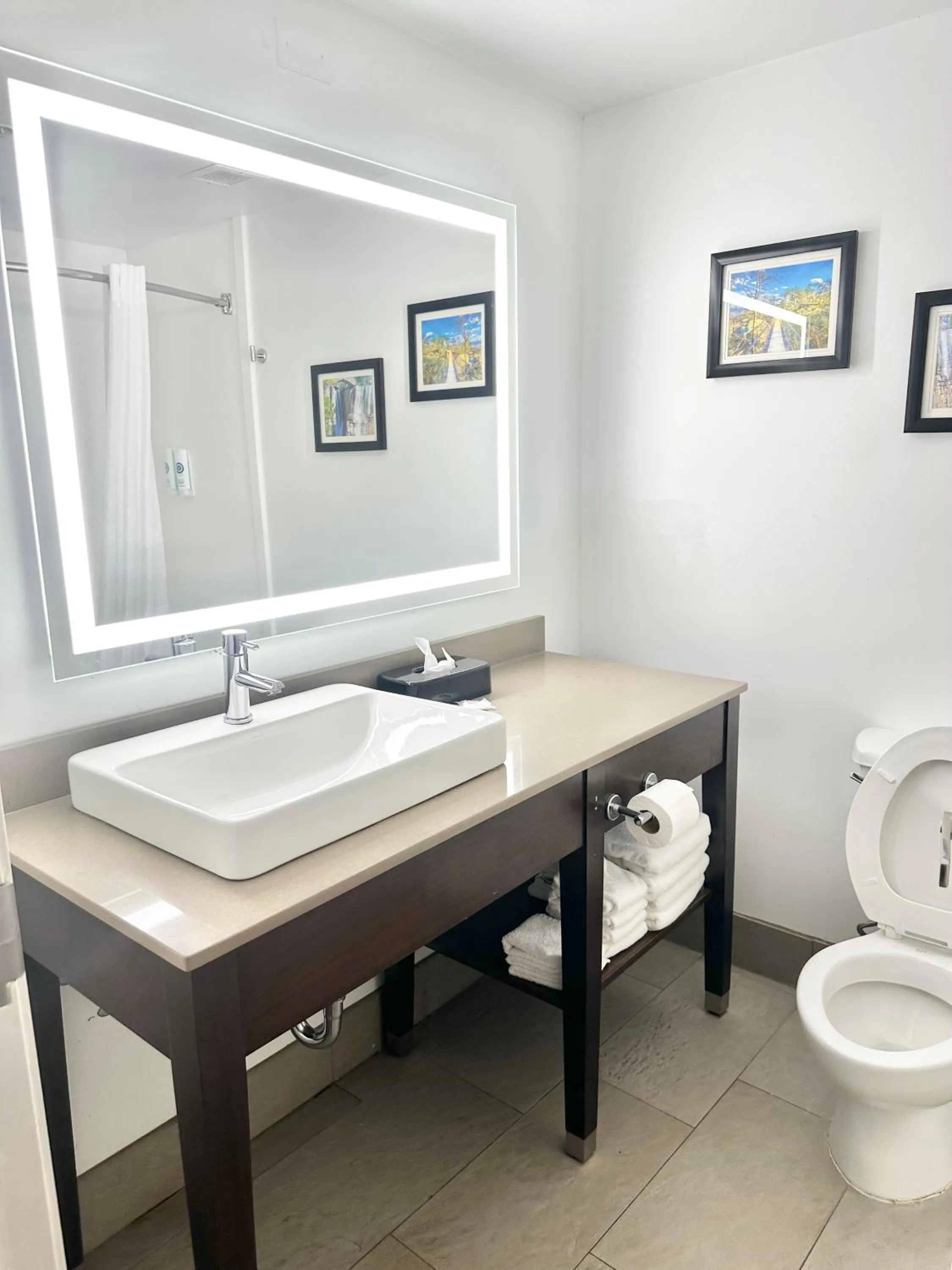 Bathroom in Comfort Inn & Suites Calhoun South