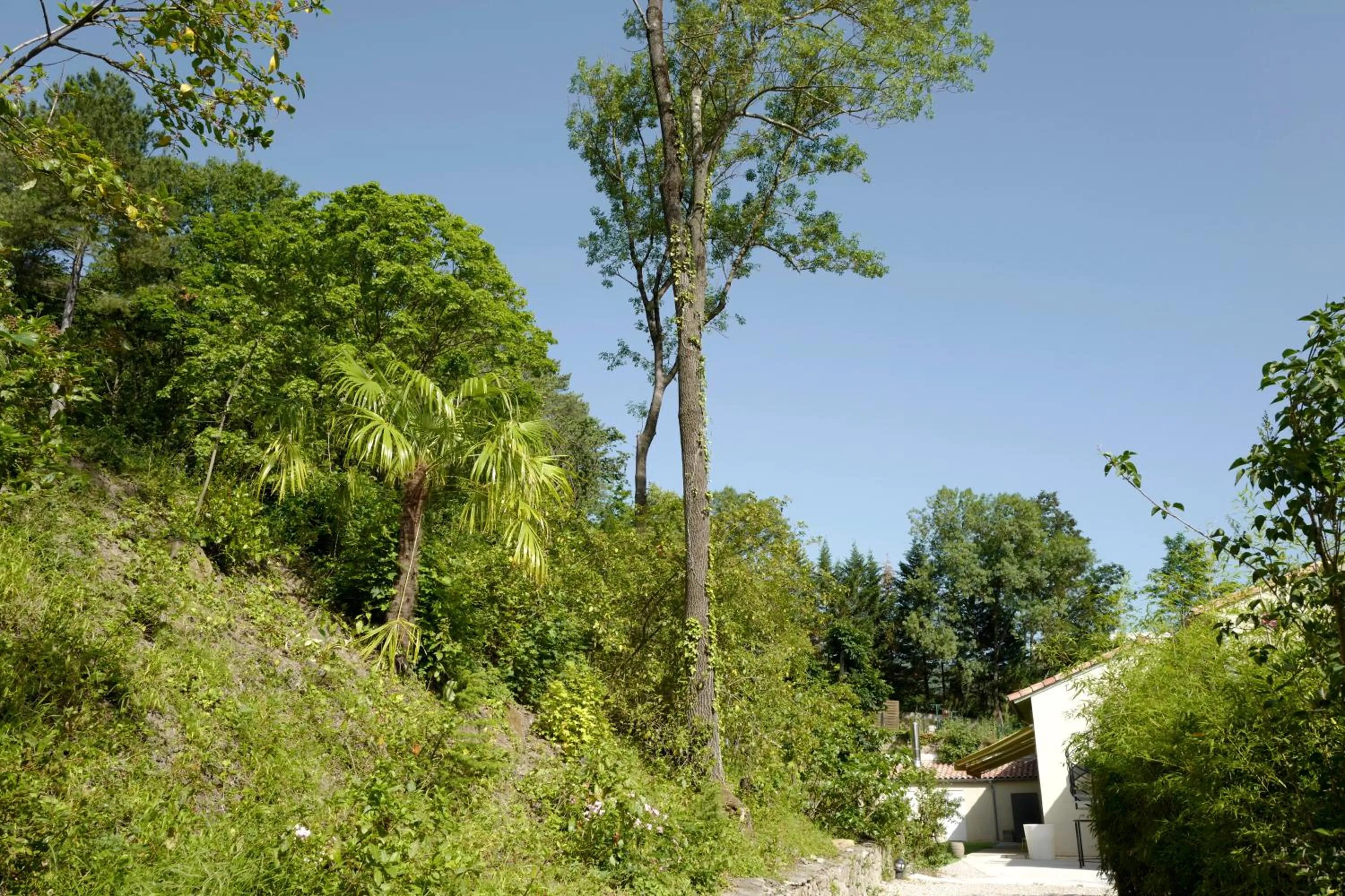 Natural landscape in Hotel De Ma Tante
