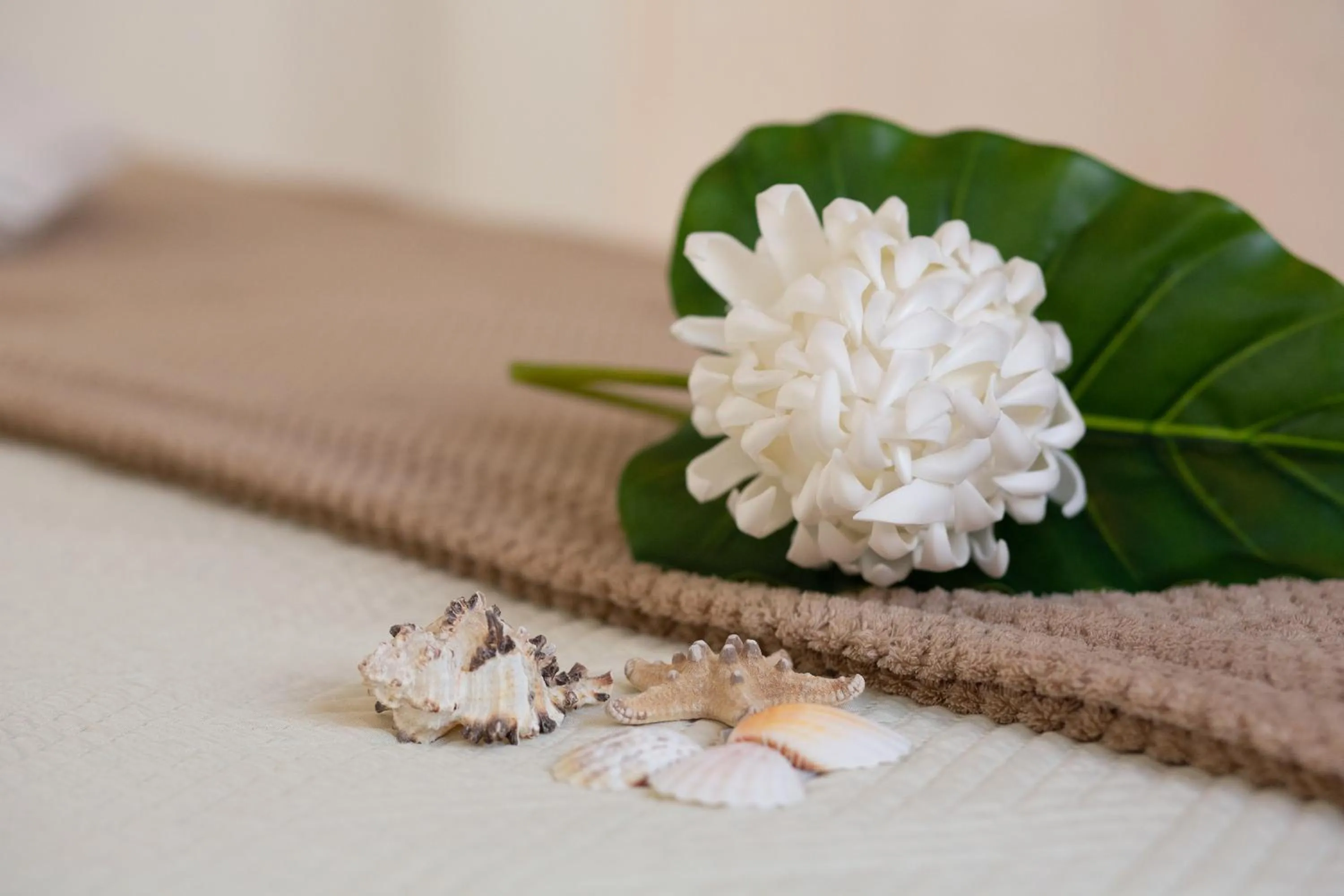 Bedroom in b&b le onde praiola