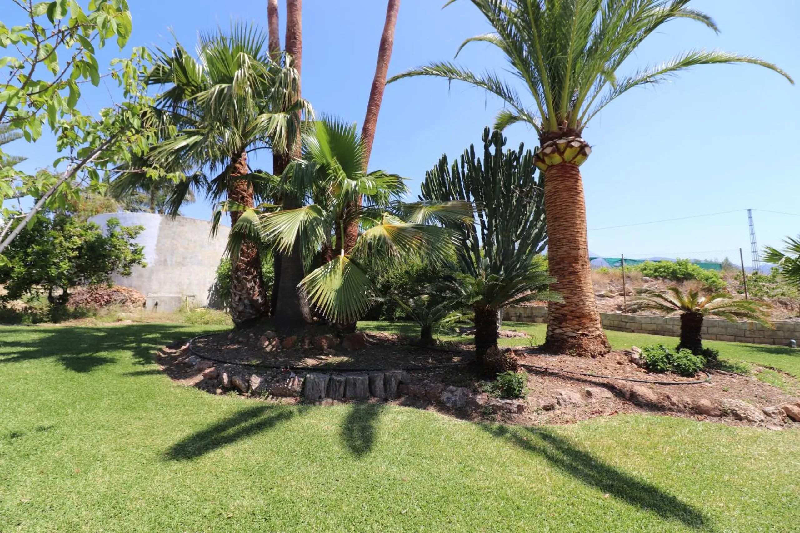 Patio in Villa el Romeral SpainSunRentals 1112