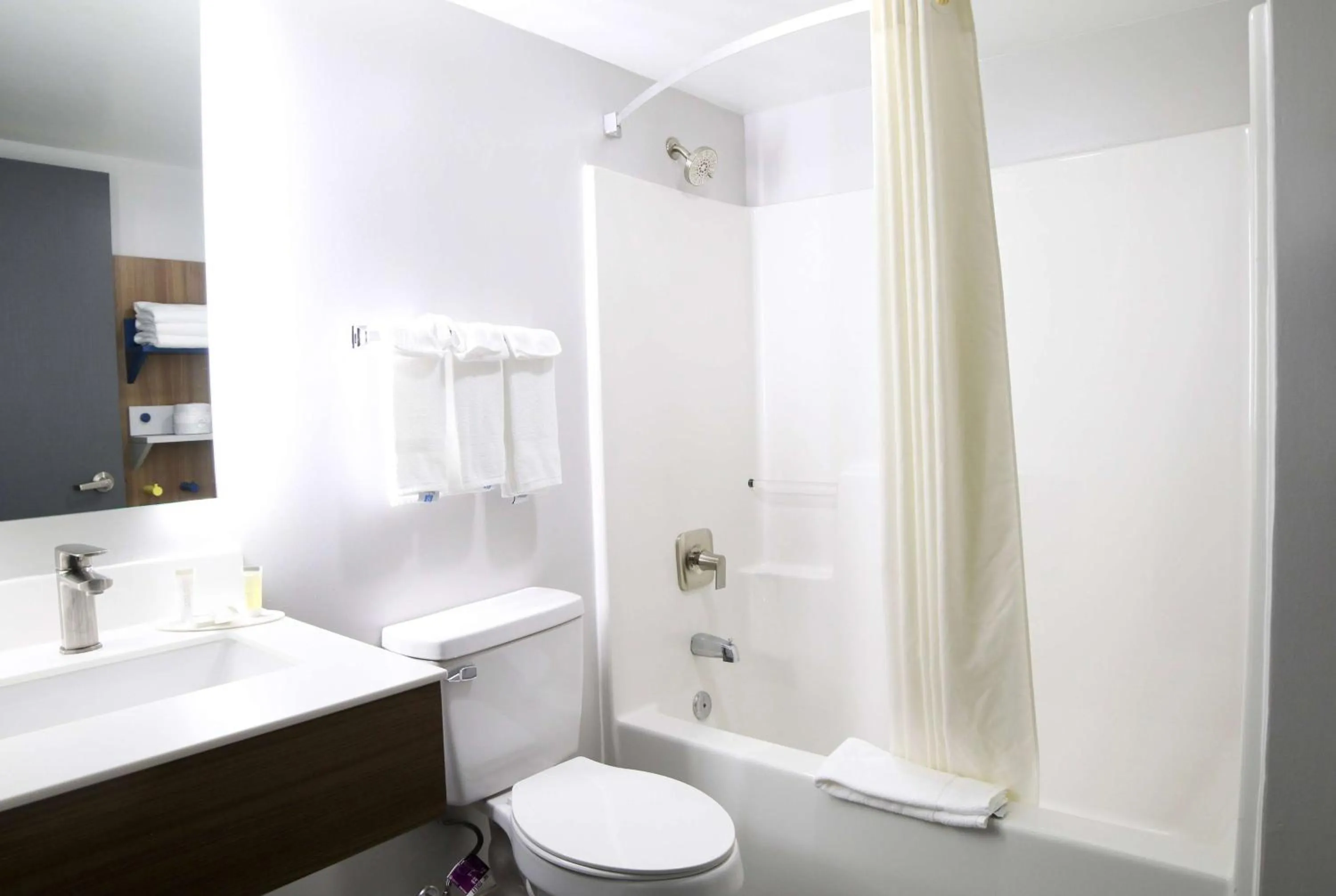 TV and multimedia in Microtel Inn & Suites by Wyndham Charlotte/Northlake