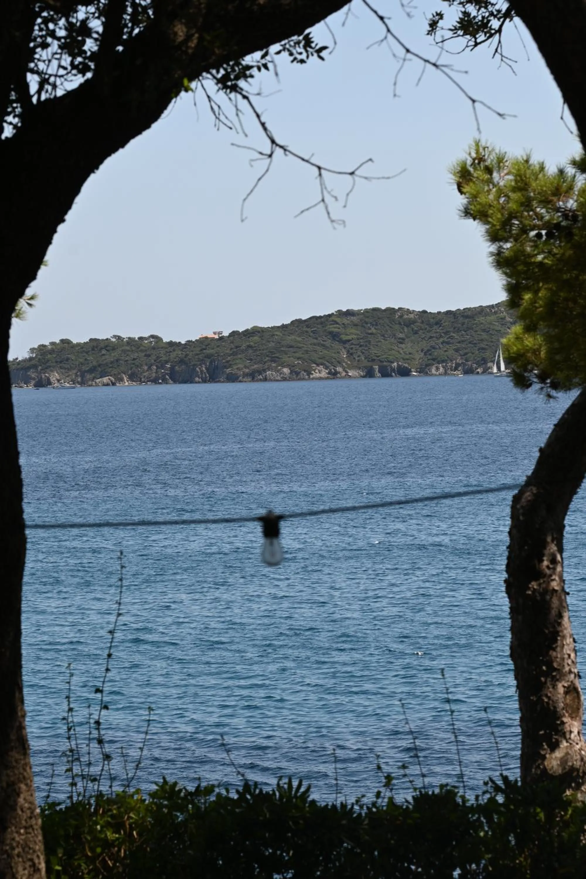 Sea view in Hôtel Le Provençal - Rénové en 2025 - Bord de Mer