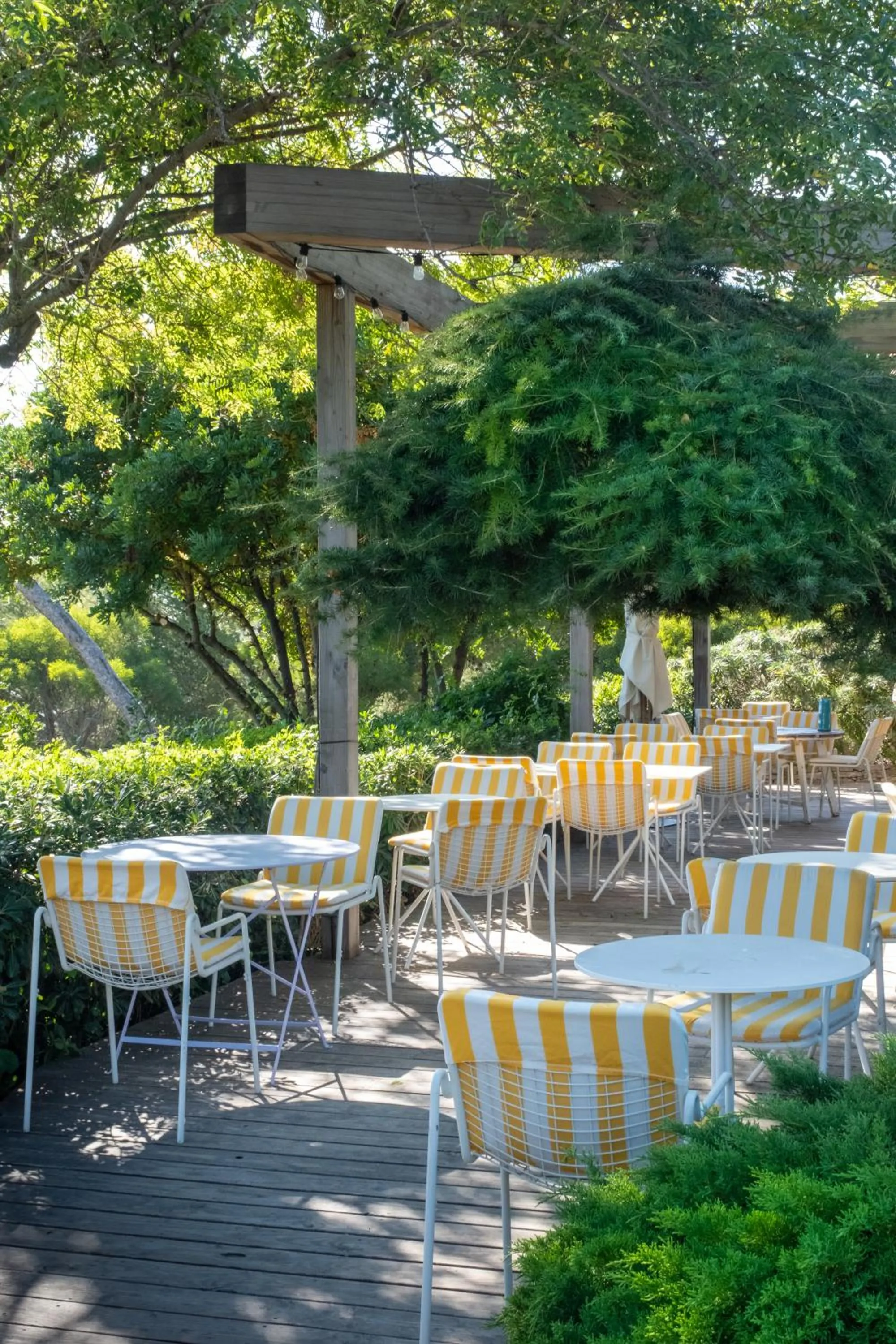 Restaurant/places to eat in Hôtel Le Provençal - Rénové en 2025 - Bord de Mer