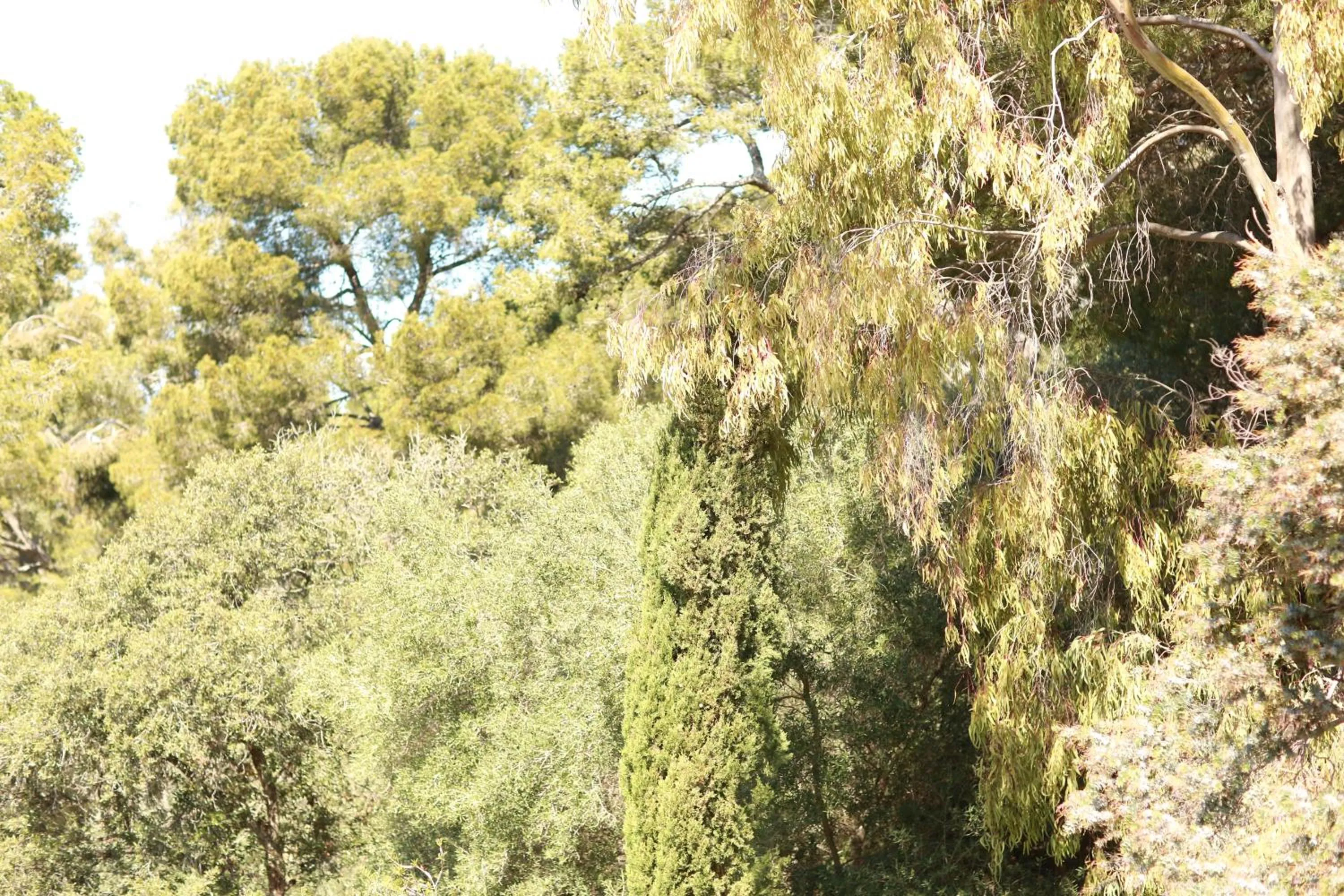 Natural landscape in Hôtel Le Provençal - Rénové en 2025 - Bord de Mer