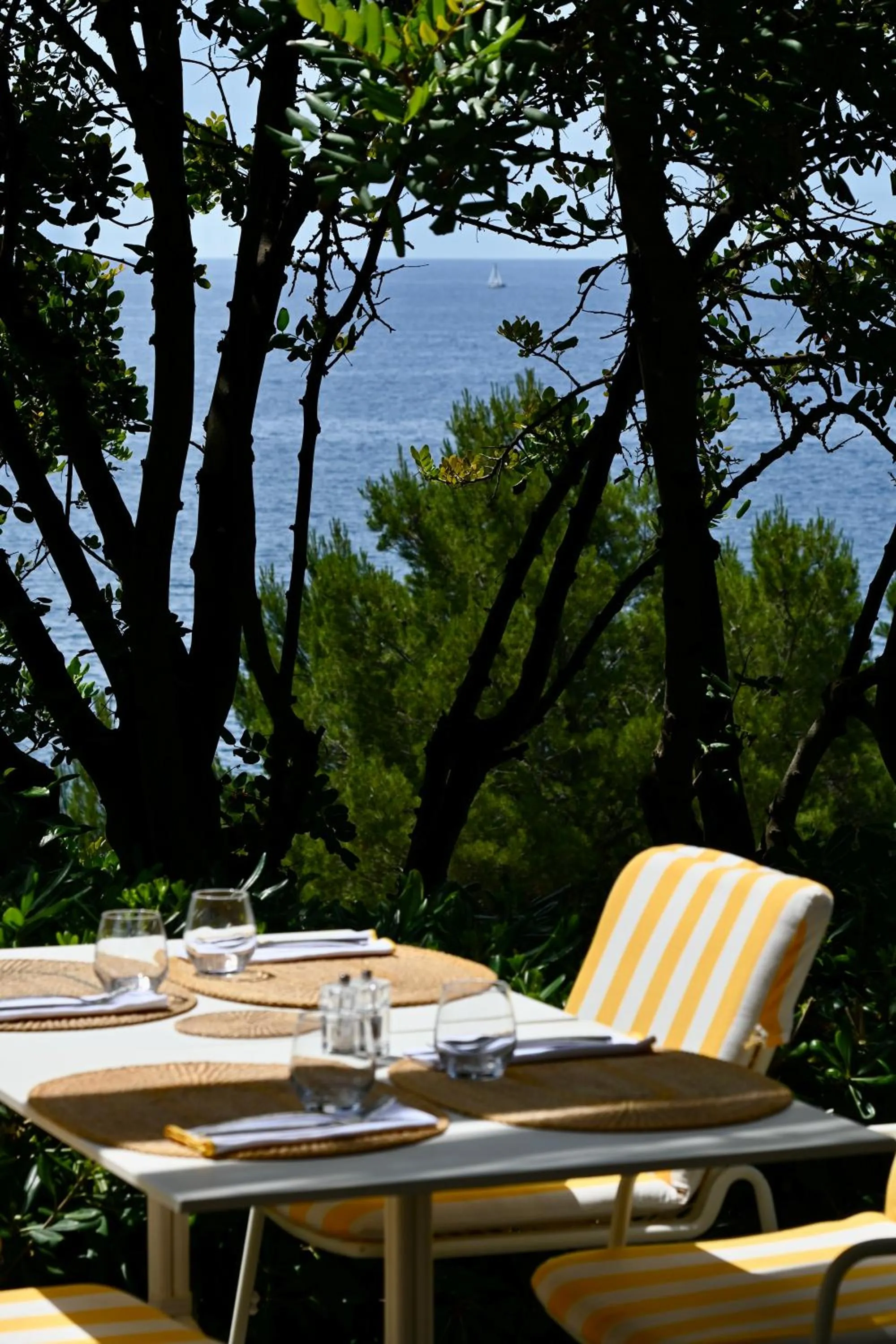 Restaurant/places to eat in Hôtel Le Provençal - Rénové en 2025 - Bord de Mer