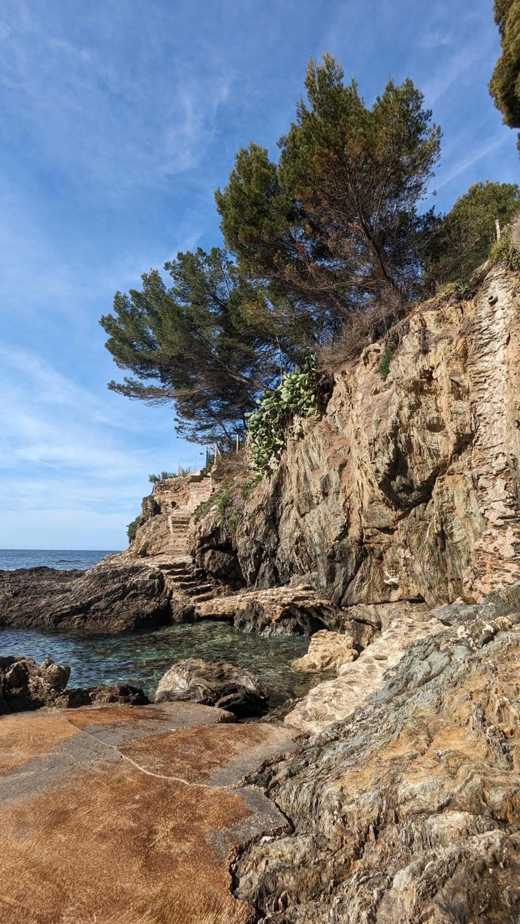 Sea view in Hôtel Le Provençal - Rénové en 2025 - Bord de Mer