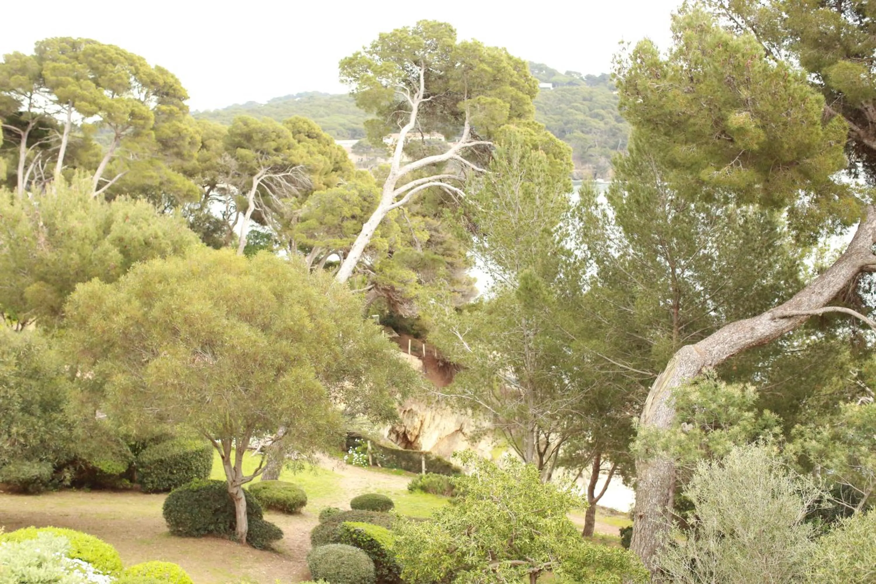 Garden in Hôtel Le Provençal - Rénové en 2025 - Bord de Mer