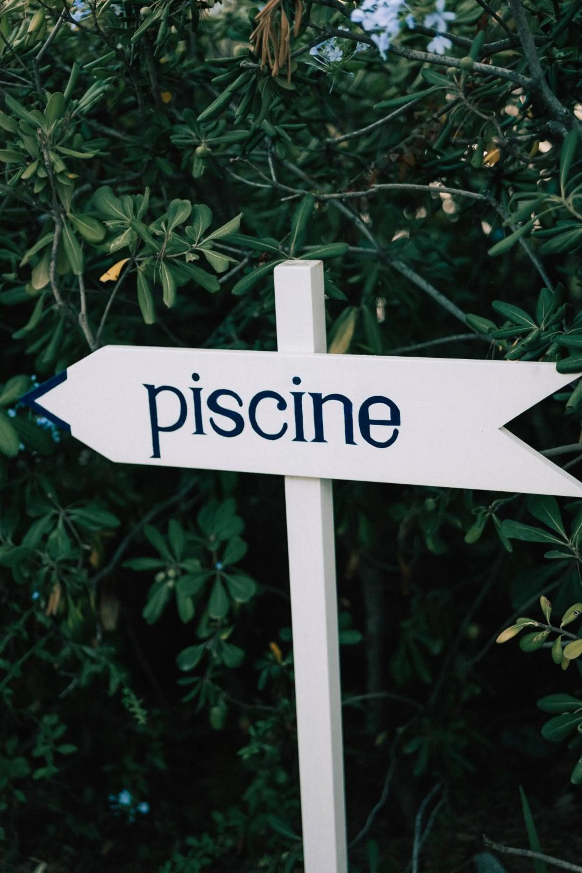 Garden in Hôtel Le Provençal - Rénové en 2025 - Bord de Mer