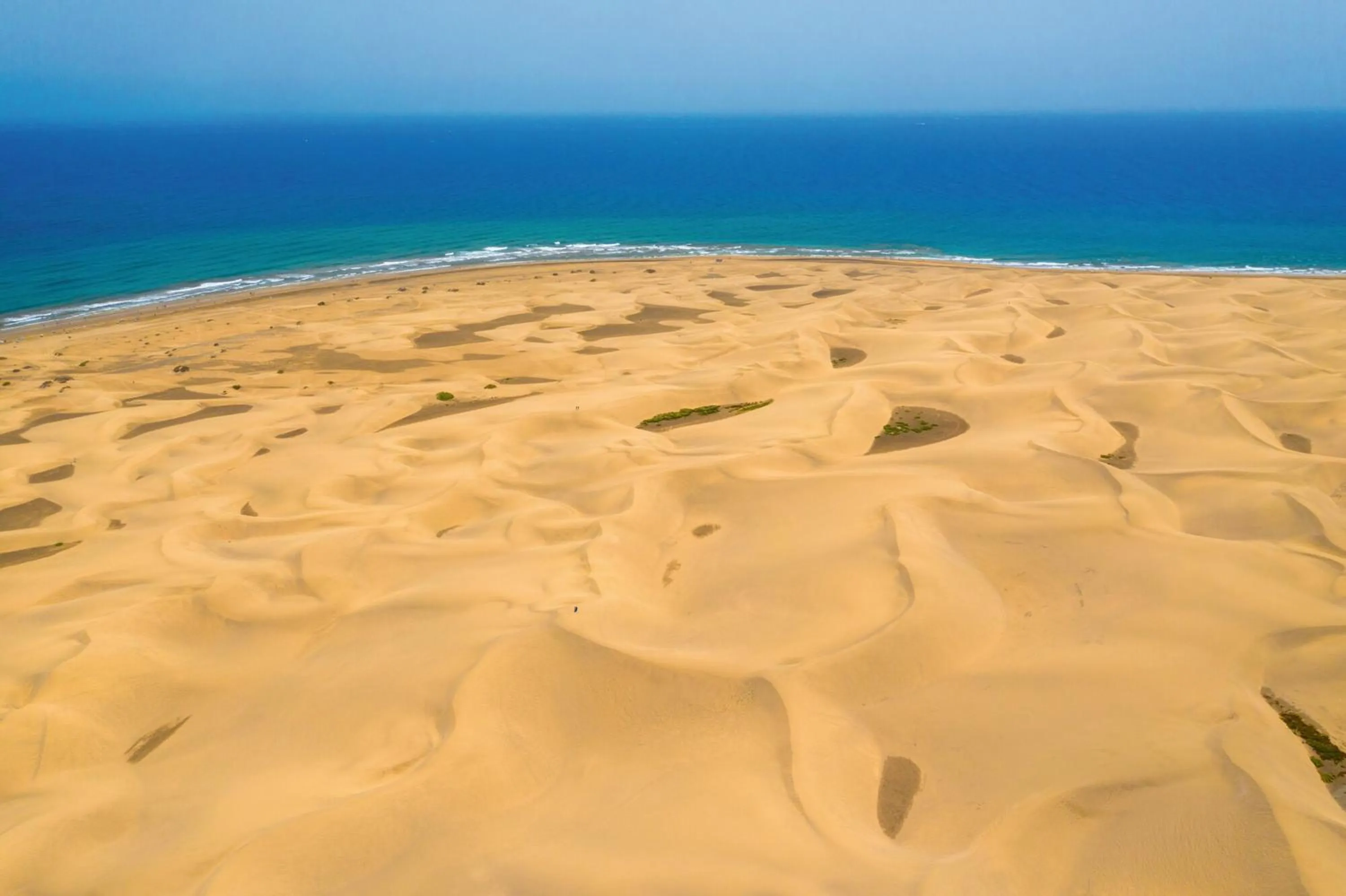 Beach in Hotel Riu Palace Maspalomas - Adults Only