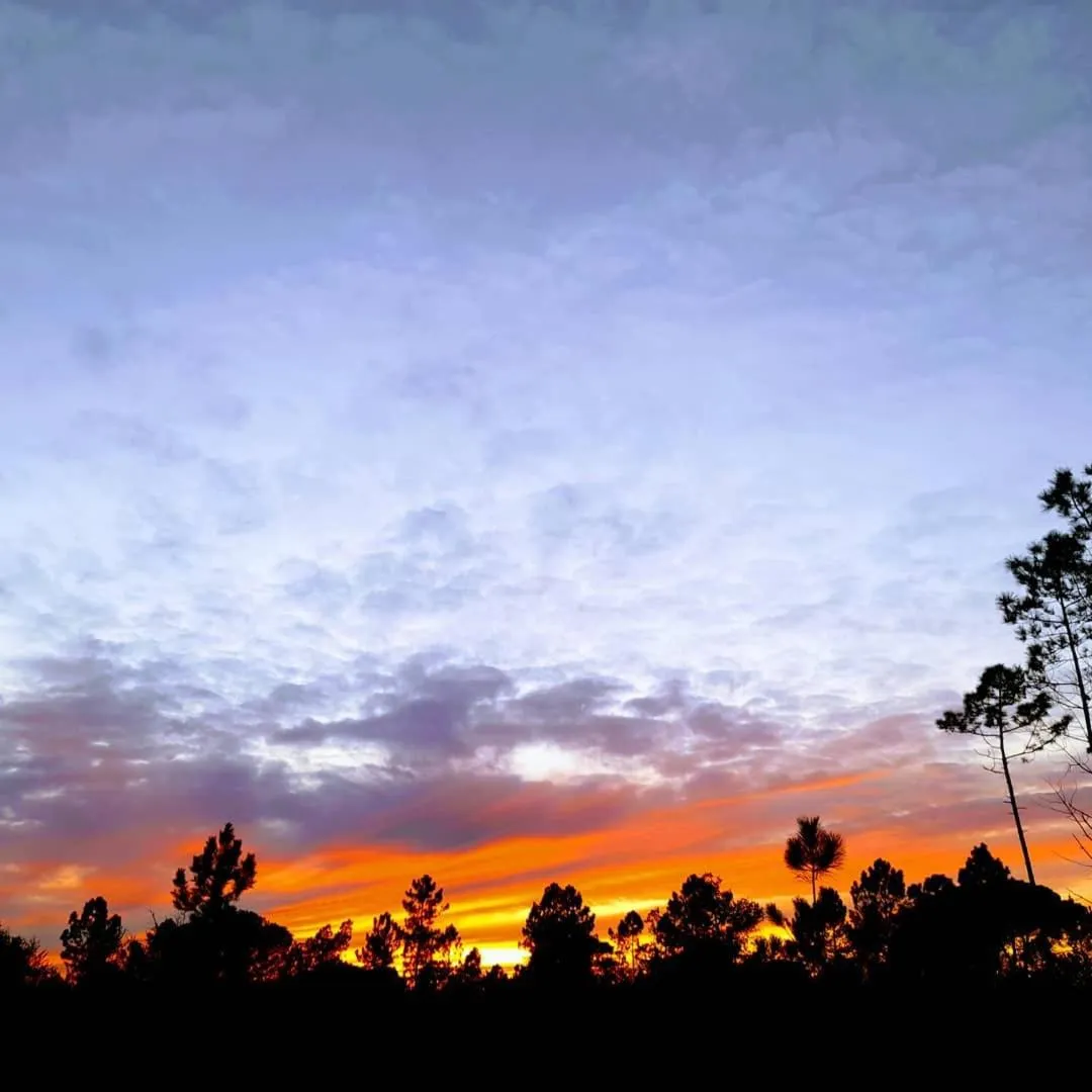 Bird's eye view in Sublime Sun & Van - By Meco Stays