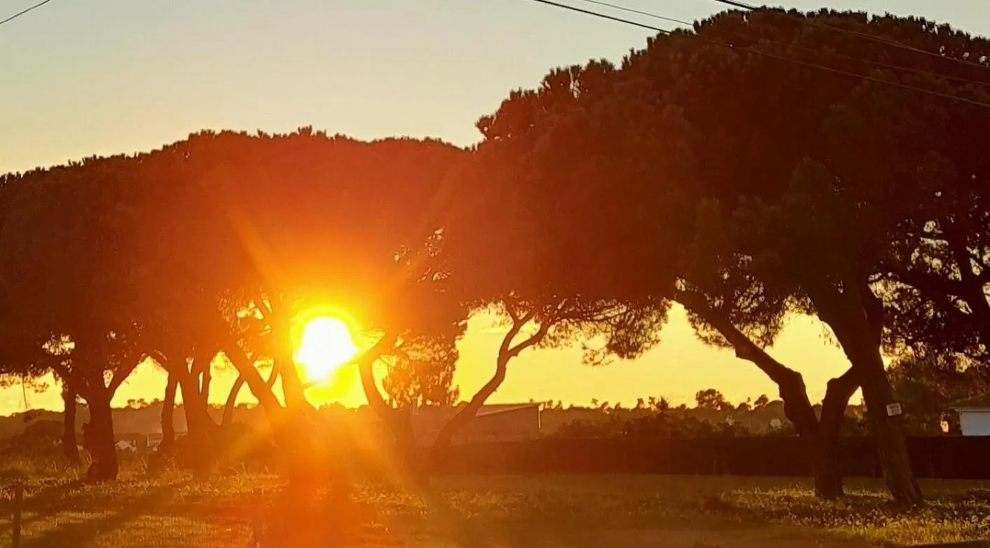 Sublime Sun & Van - By Meco Stays