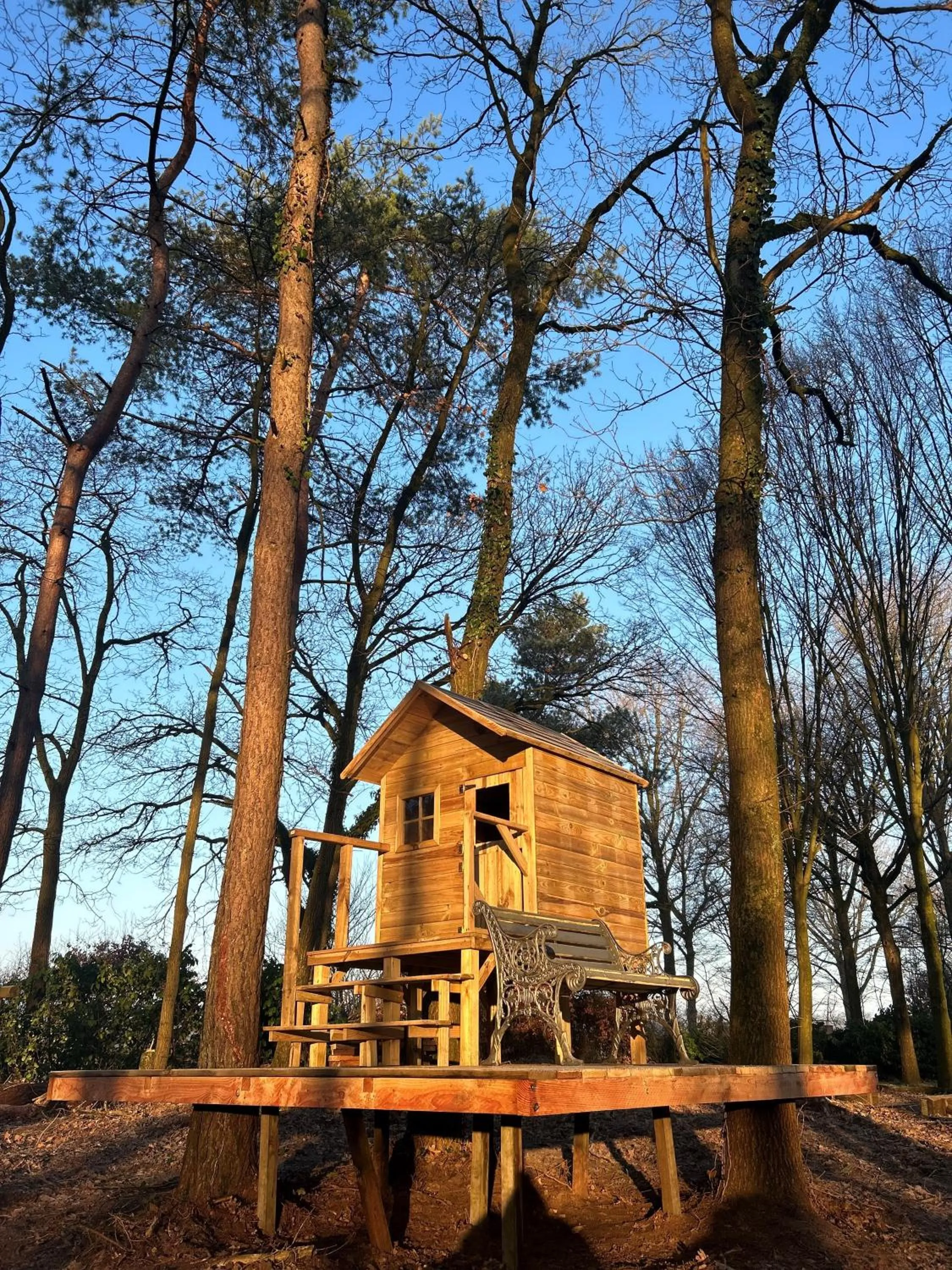 Natural landscape in Duynparc Soest