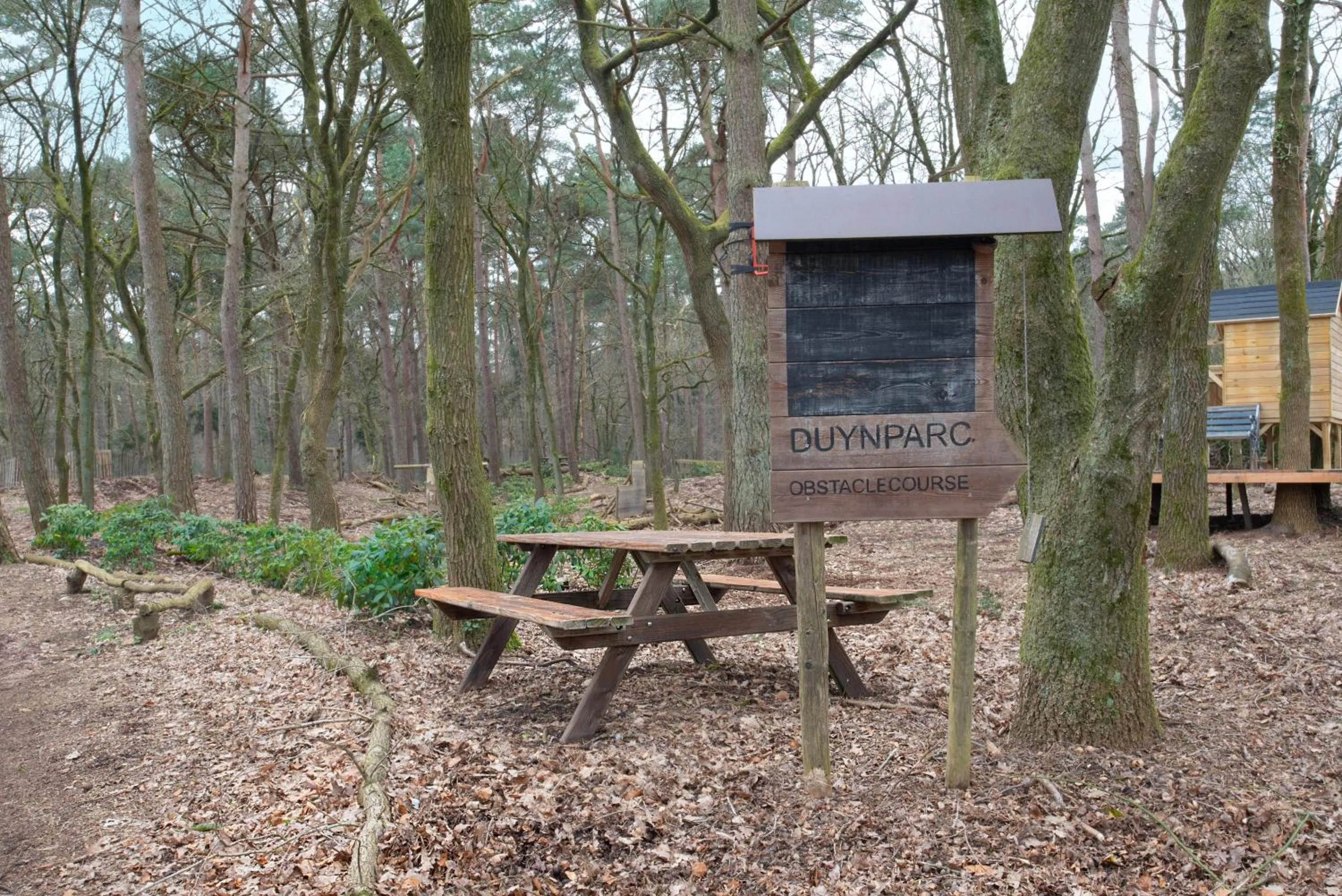 Natural landscape in Duynparc Soest
