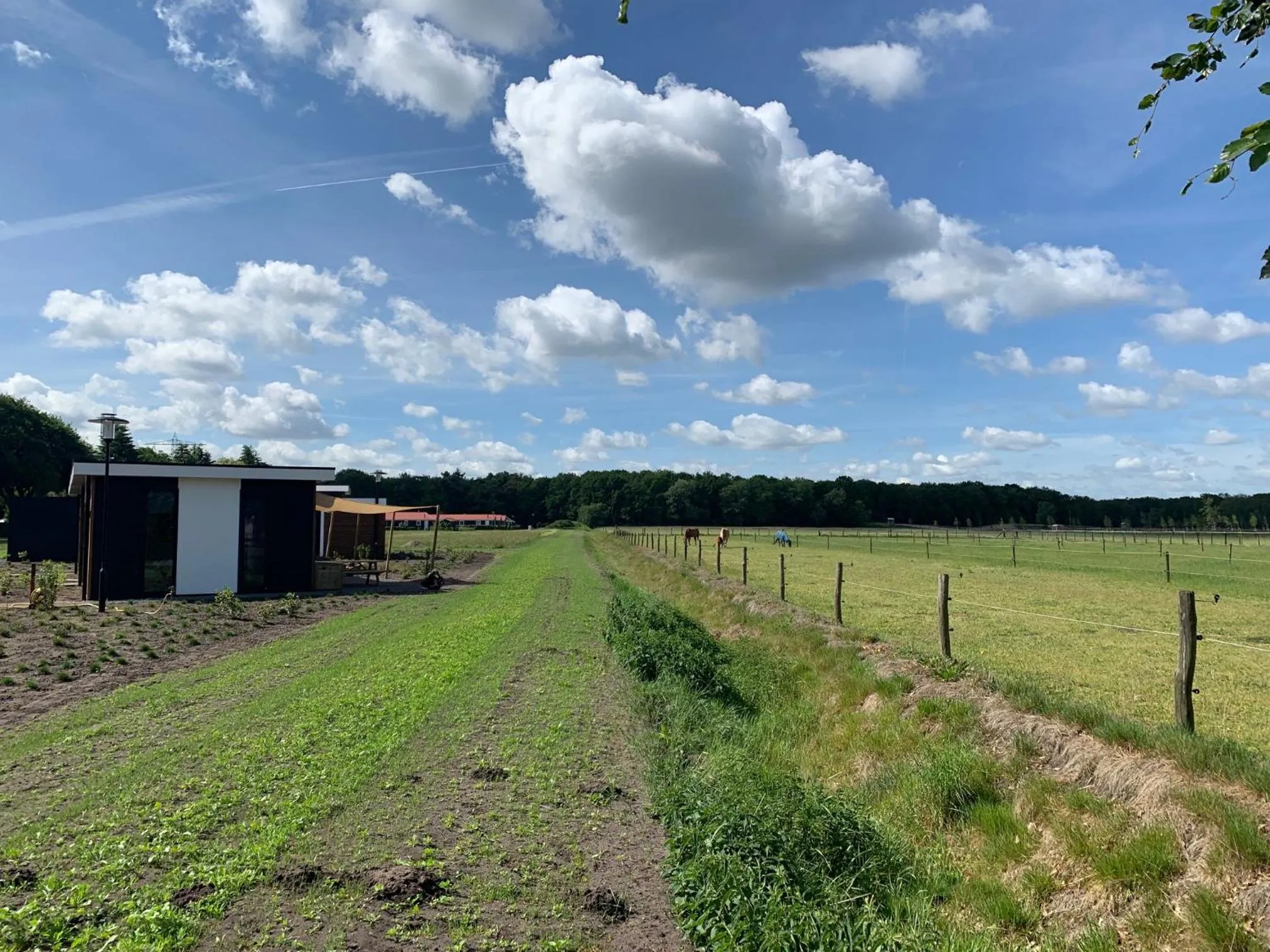 Garden view in Duynparc Soest