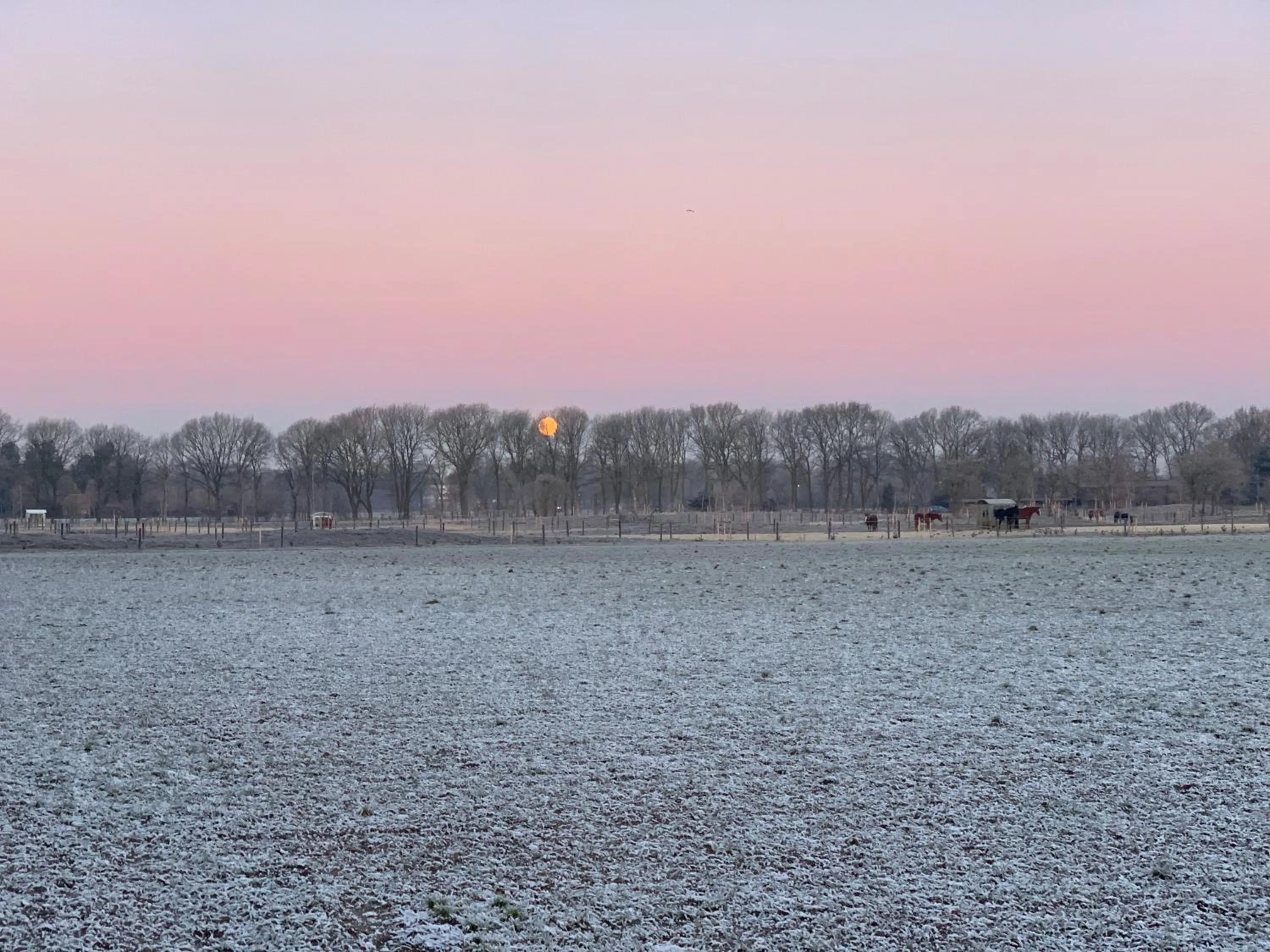 Sunset in Duynparc Soest