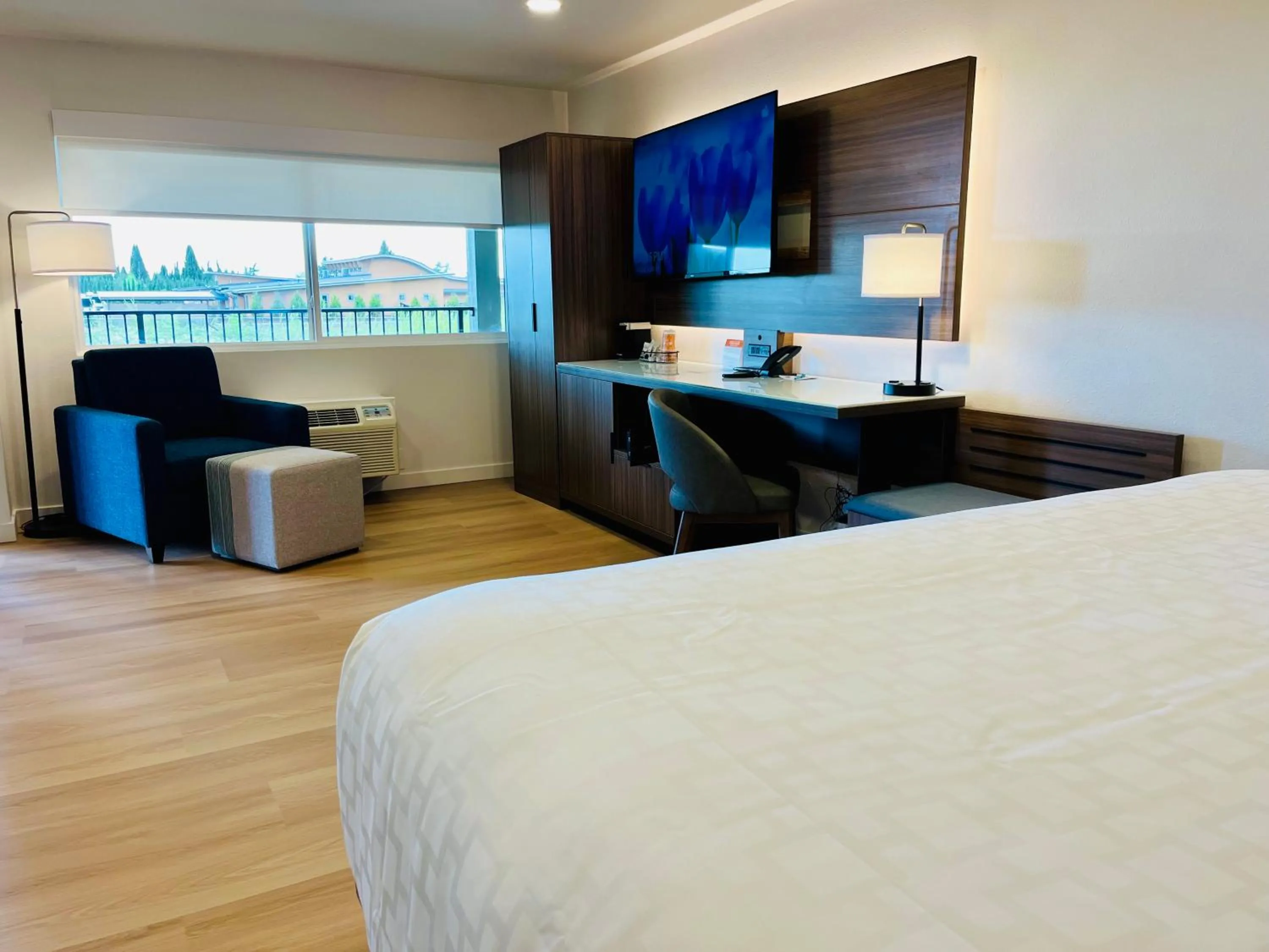 Photo of the whole room, Bed in Clarion Pointe Mount Vernon - Burlington