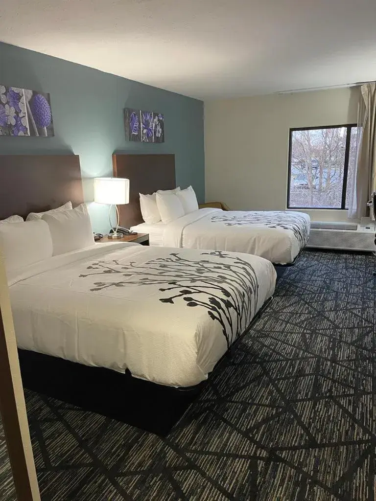 Standard Double Room with Two Double Beds - Non Smoking in Sleep Inn & Suites Grovetown - Augusta West Standard Double Room with Two Double Beds - Non Smoking in Sleep Inn & Suites Grovetown - Augusta West