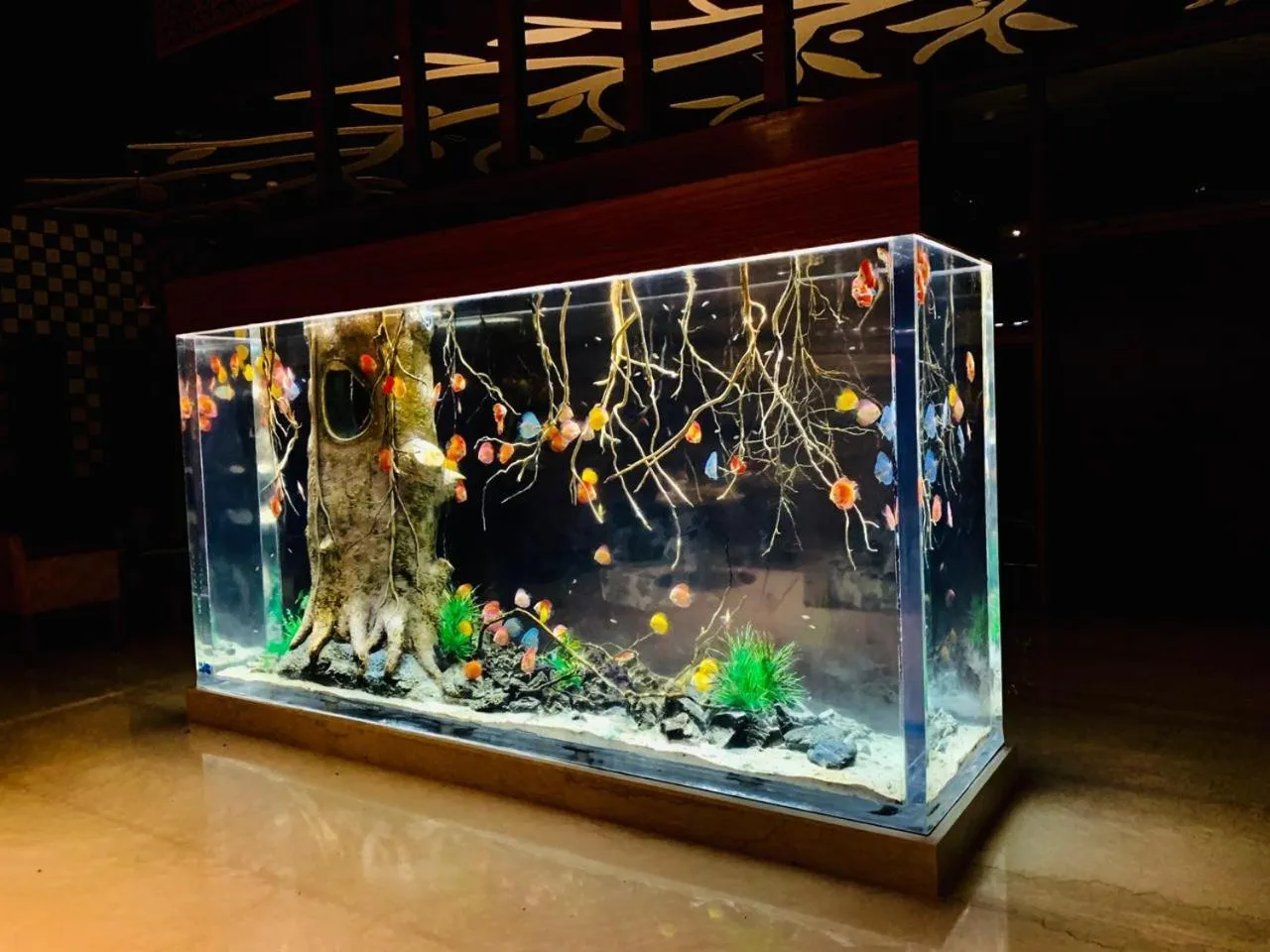 Property building in Regenta Resort Belagavi