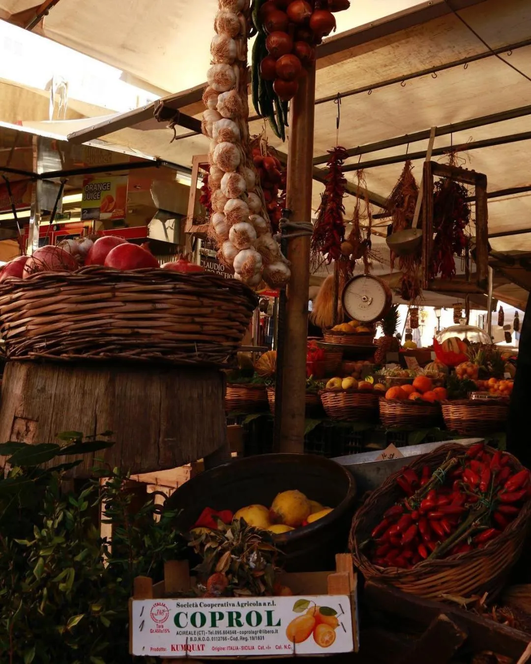 Nearby landmark in Campo24roma Guesthouse