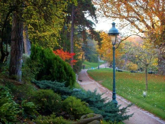 Area and facilities in Hôtel Beaunier