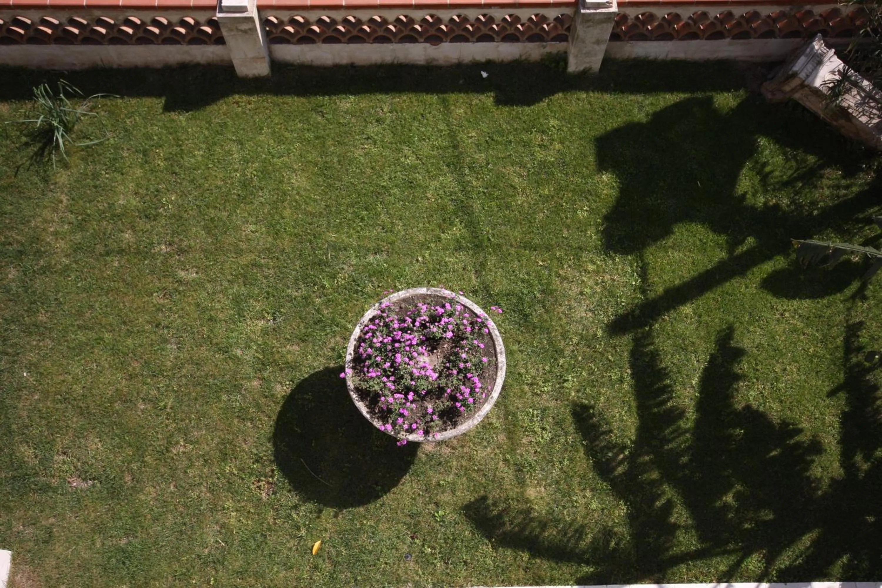 Garden in Porta del Vento