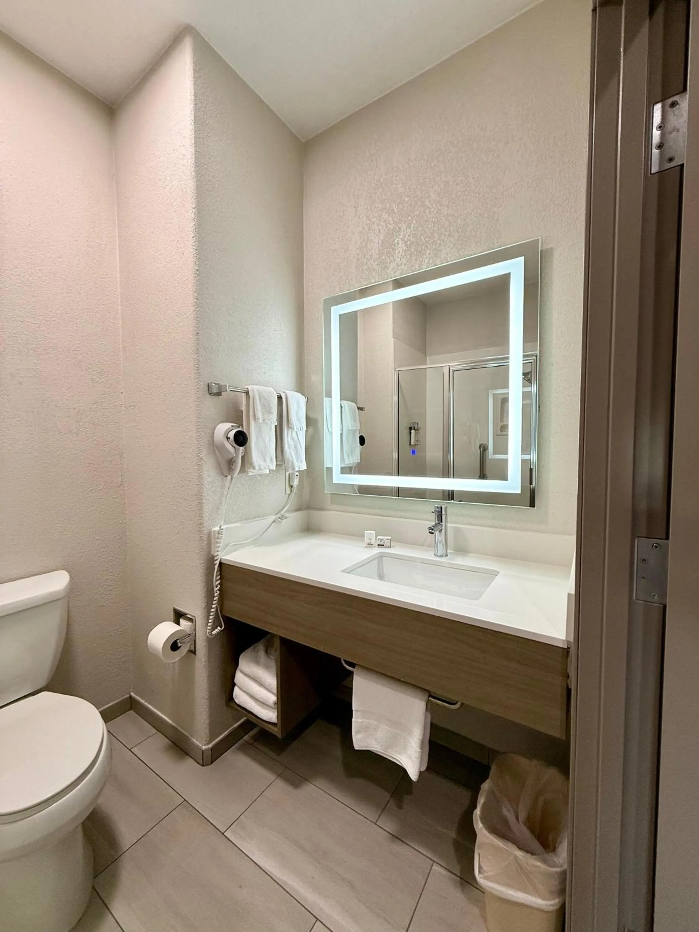 Bathroom in Holiday Inn Express & Suites San Antonio South by IHG