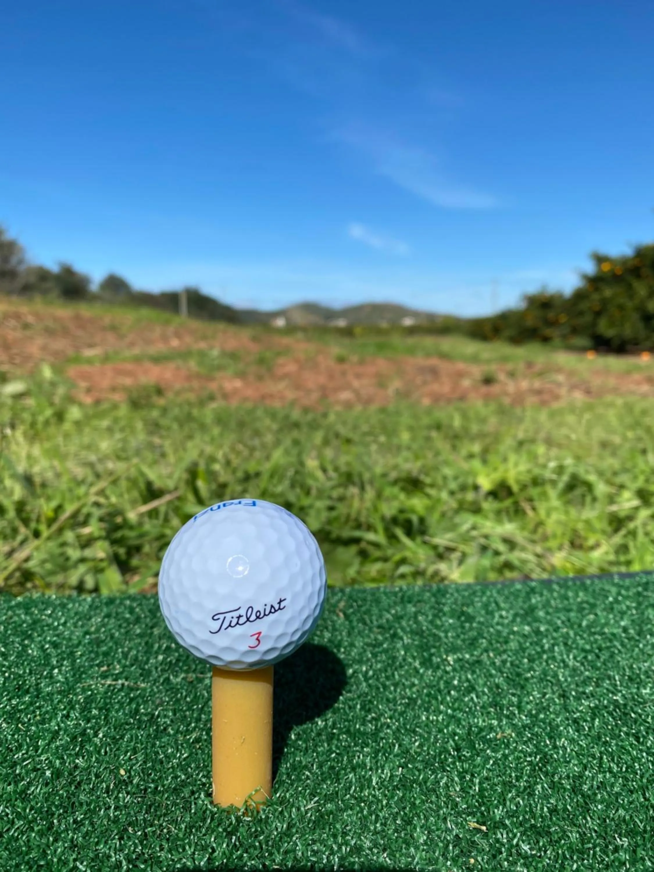 Garden in Quinta da Luz - A Luxury Boutique B&B