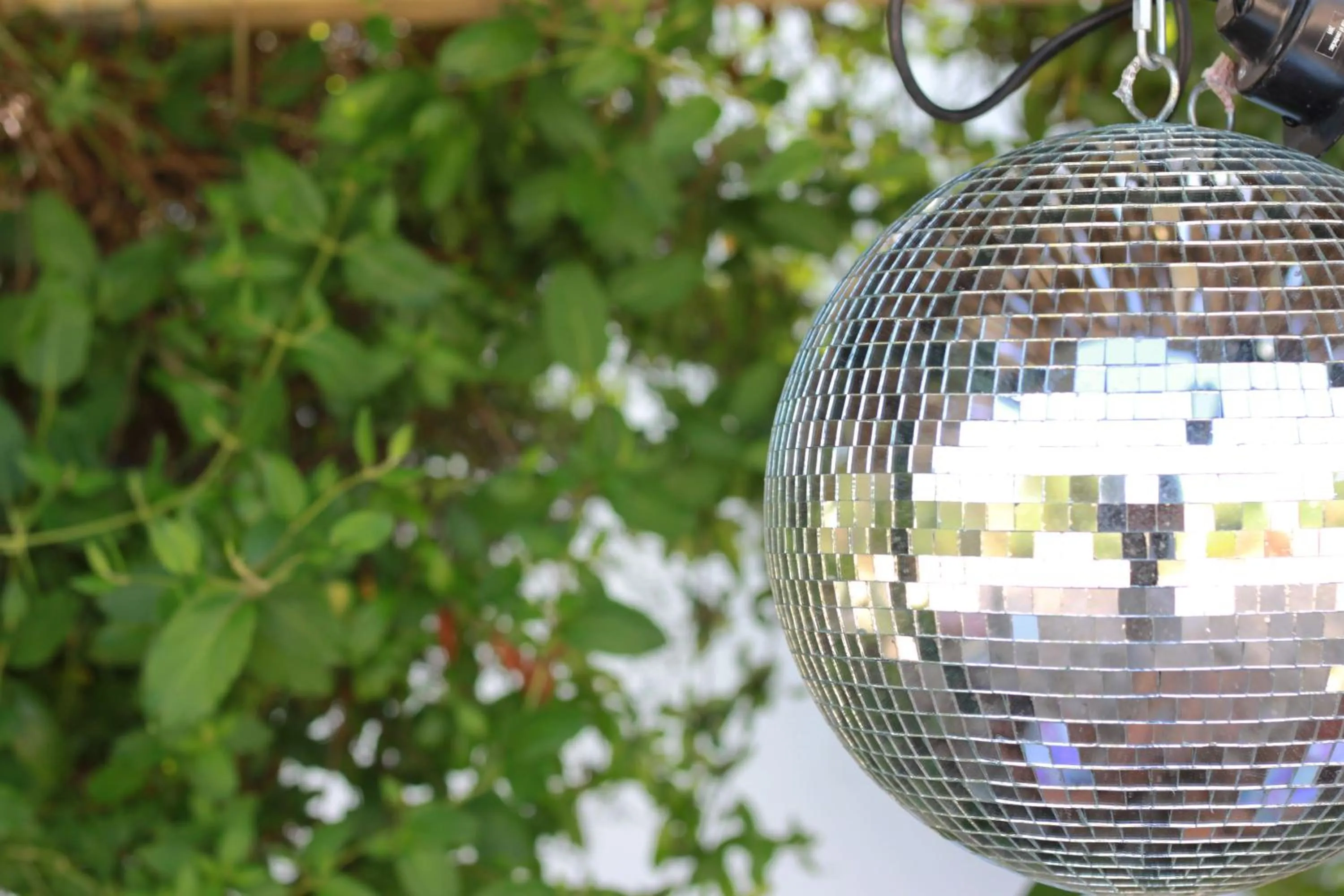 Garden in Quinta da Luz - A Luxury Boutique B&B