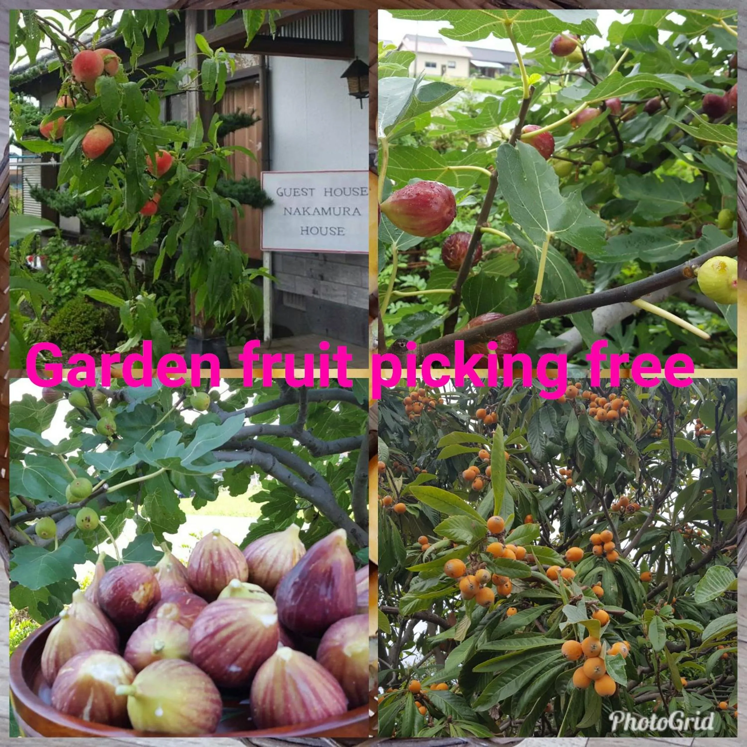 Guest House Nakamura House