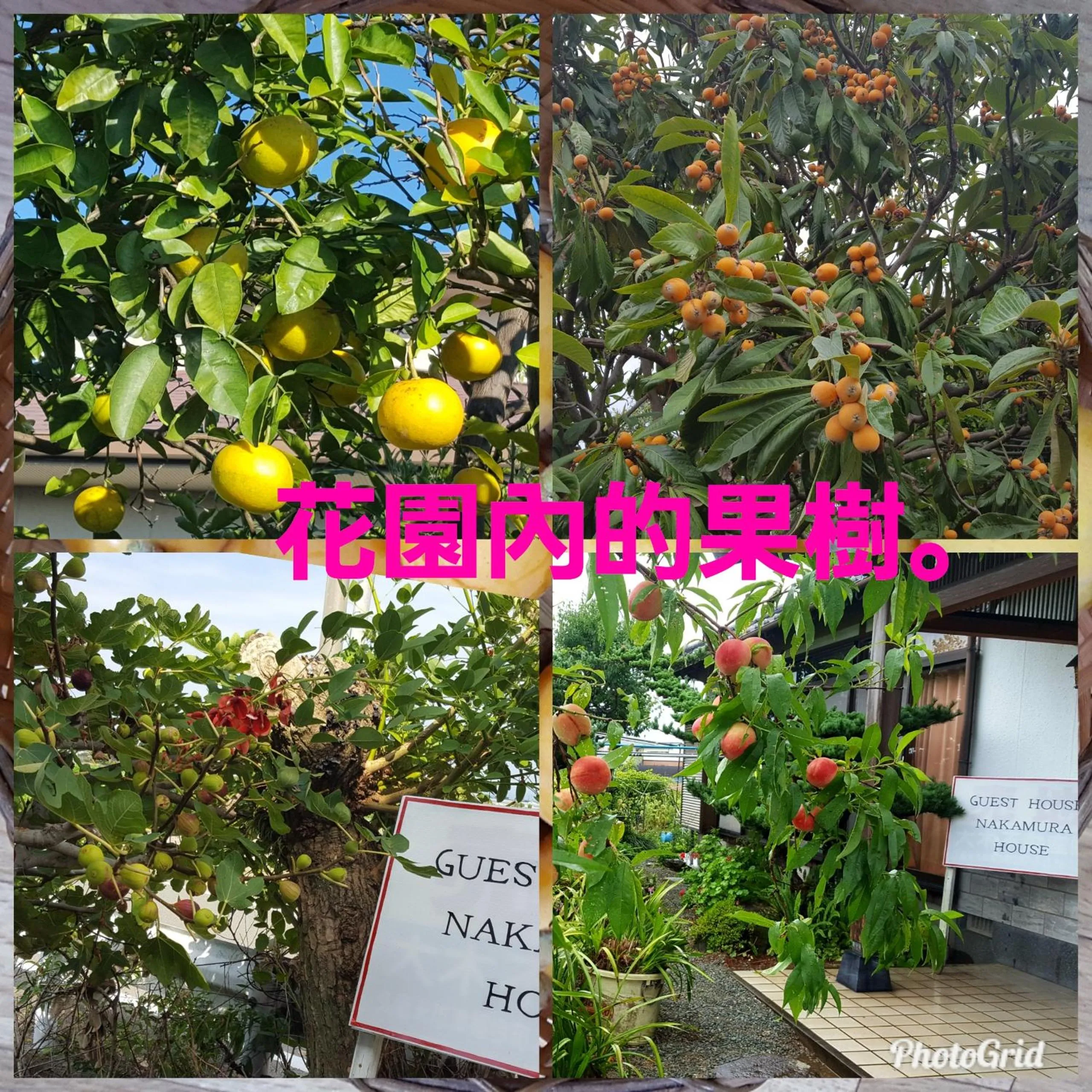 Guest House Nakamura House