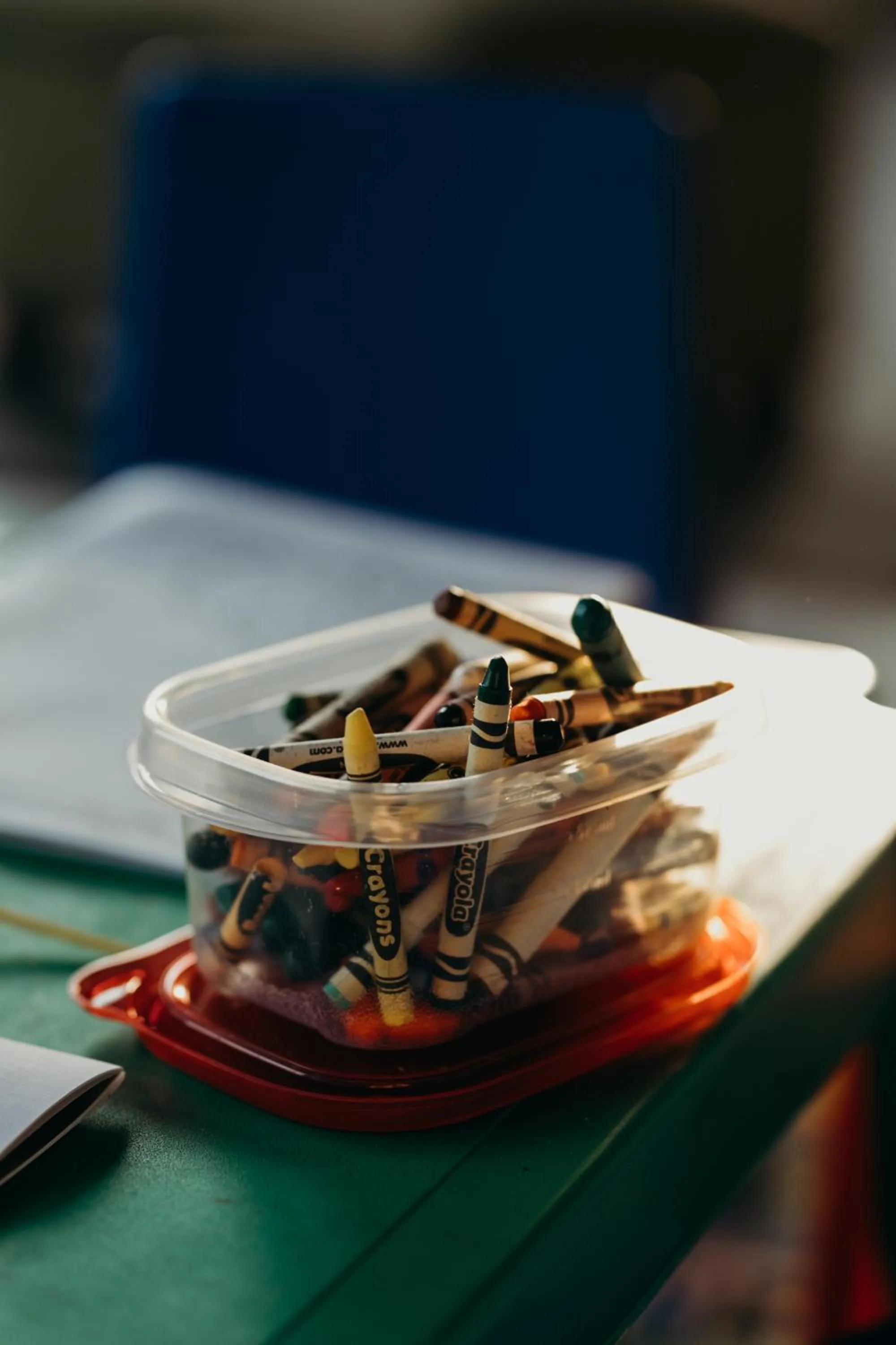 Activities in Hlosi Game Lodge - Amakhala Game Reserve