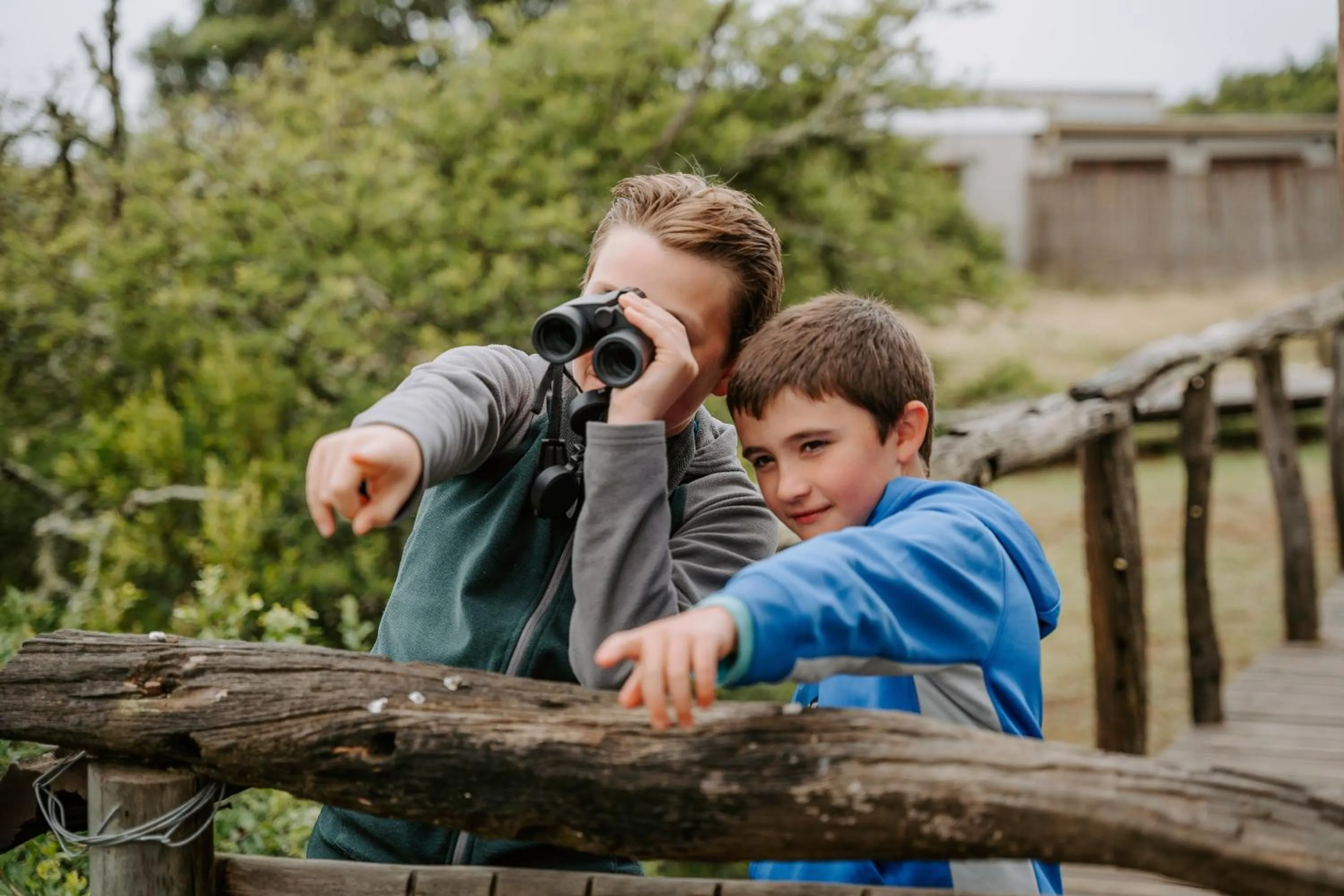 Day in Hlosi Game Lodge - Amakhala Game Reserve